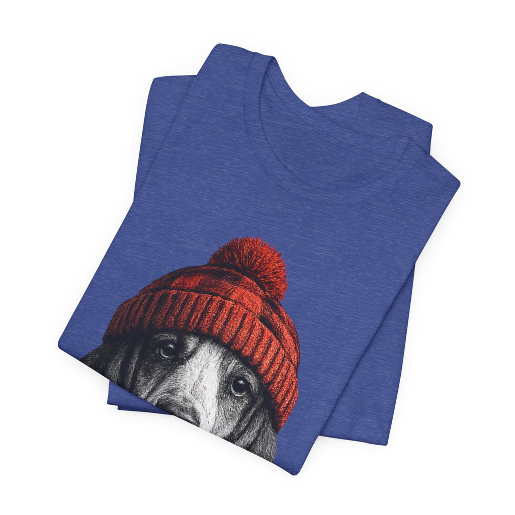 Basset in a Beanie