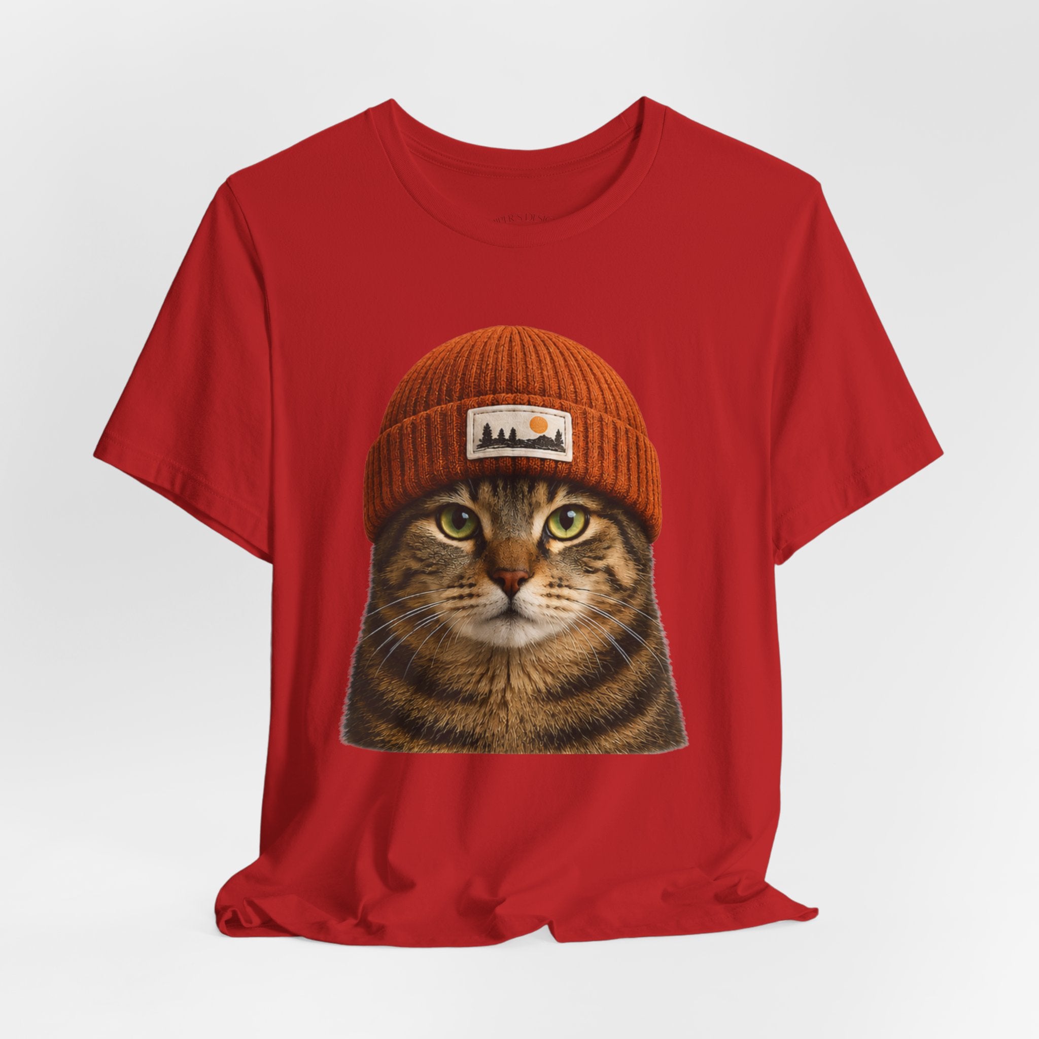 Tabby Cat in a Beanie