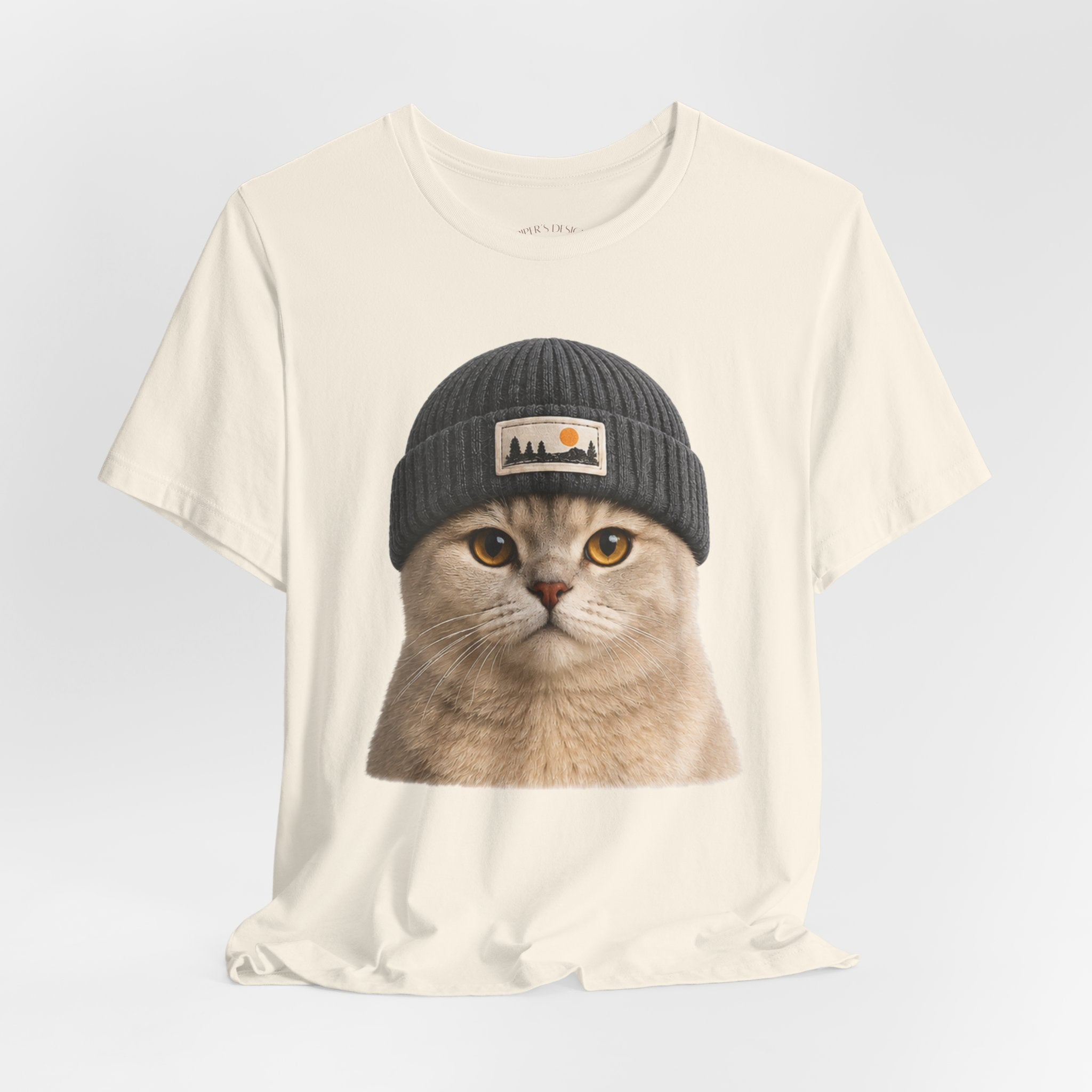 British Shorthair Cat in a Beanie