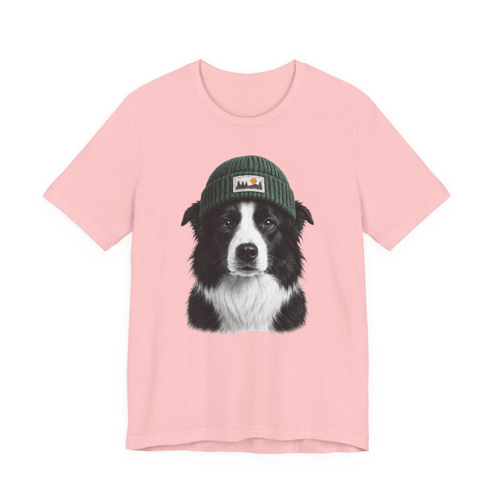 Border Collie in a Beanie