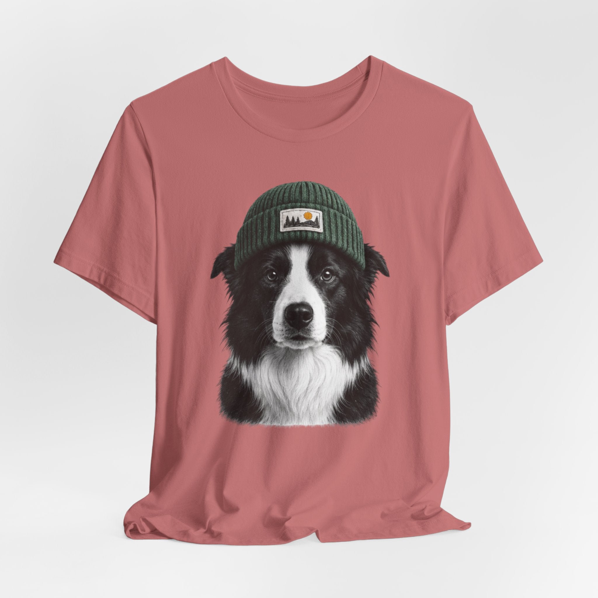 Border Collie in a Beanie
