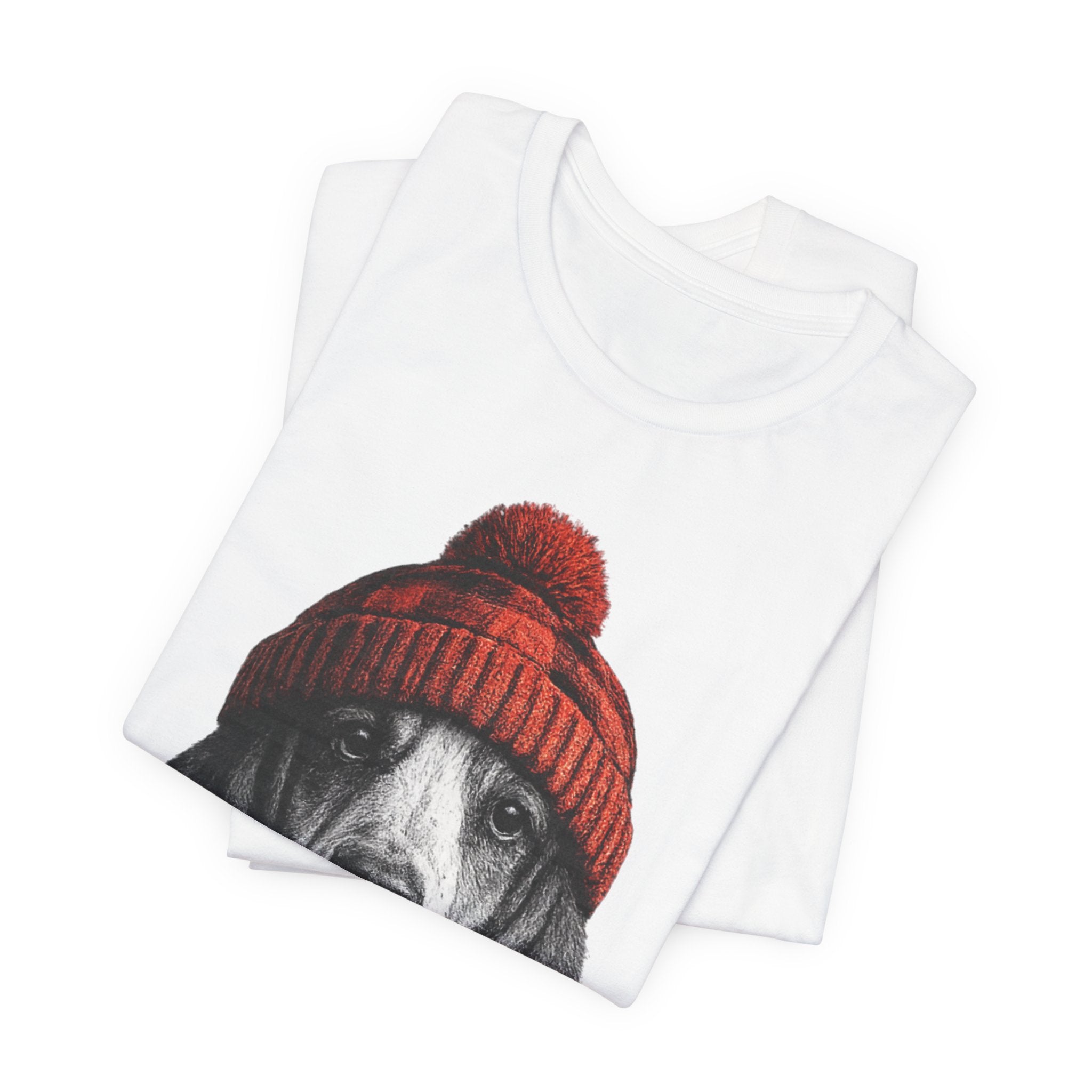 Basset in a Beanie