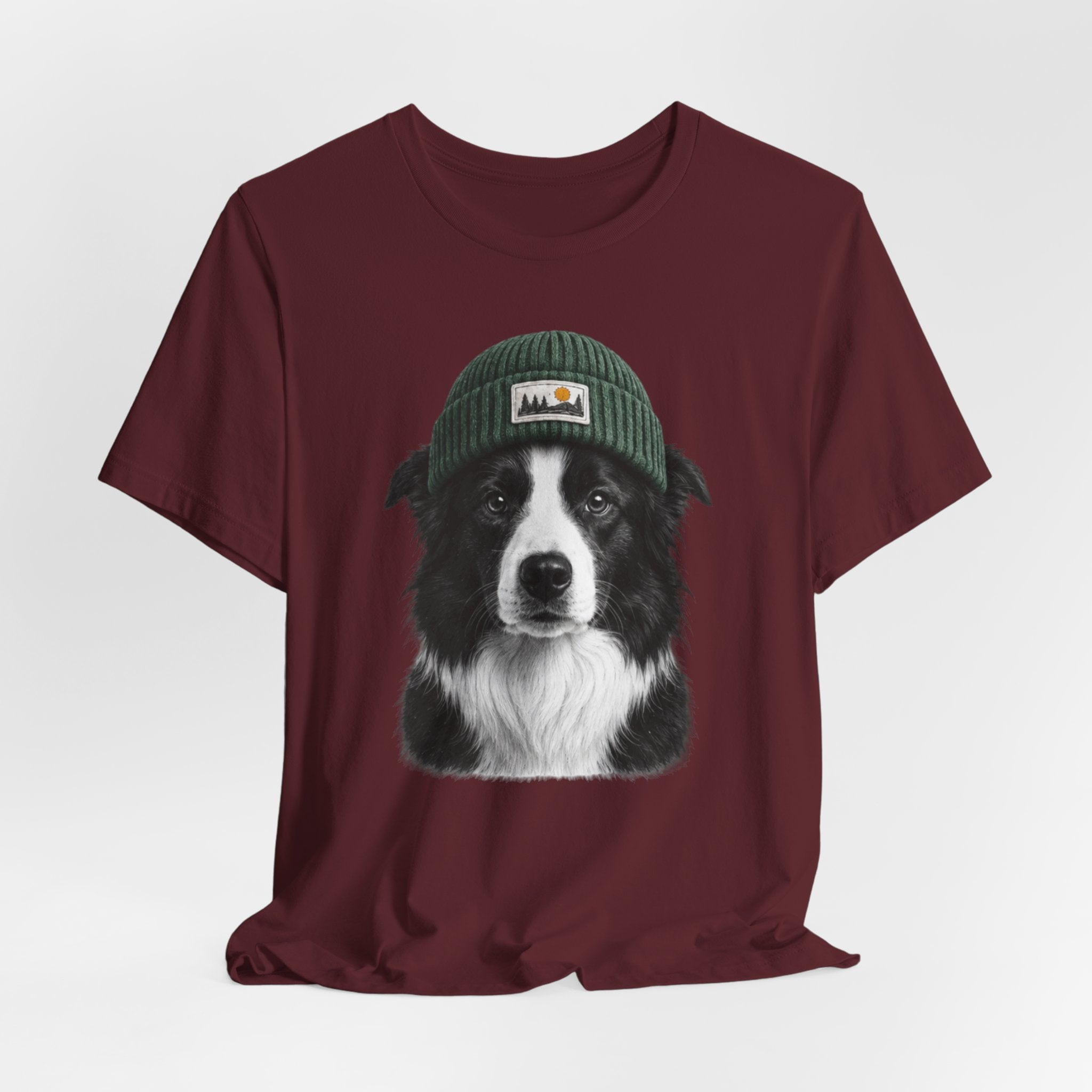 Border Collie in a Beanie