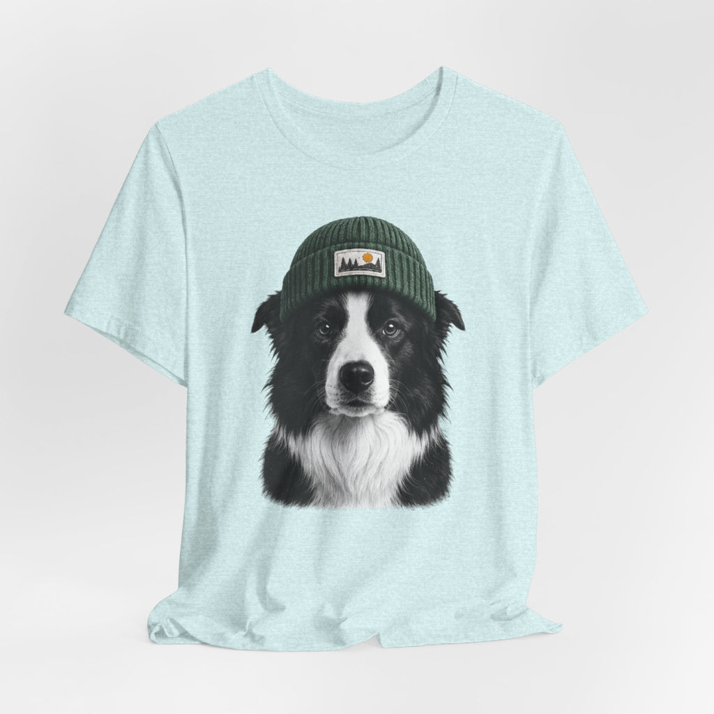 Border Collie in a Beanie