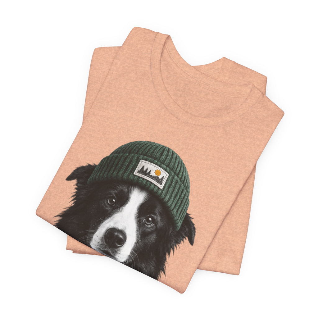 Border Collie in a Beanie
