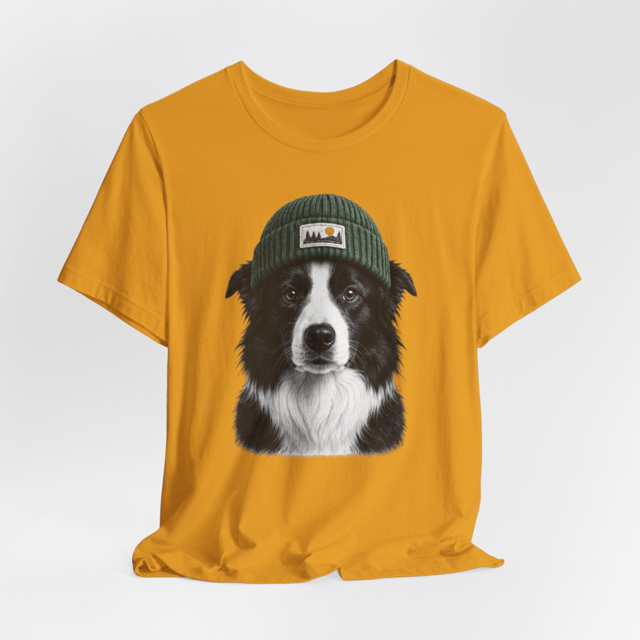 Border Collie in a Beanie