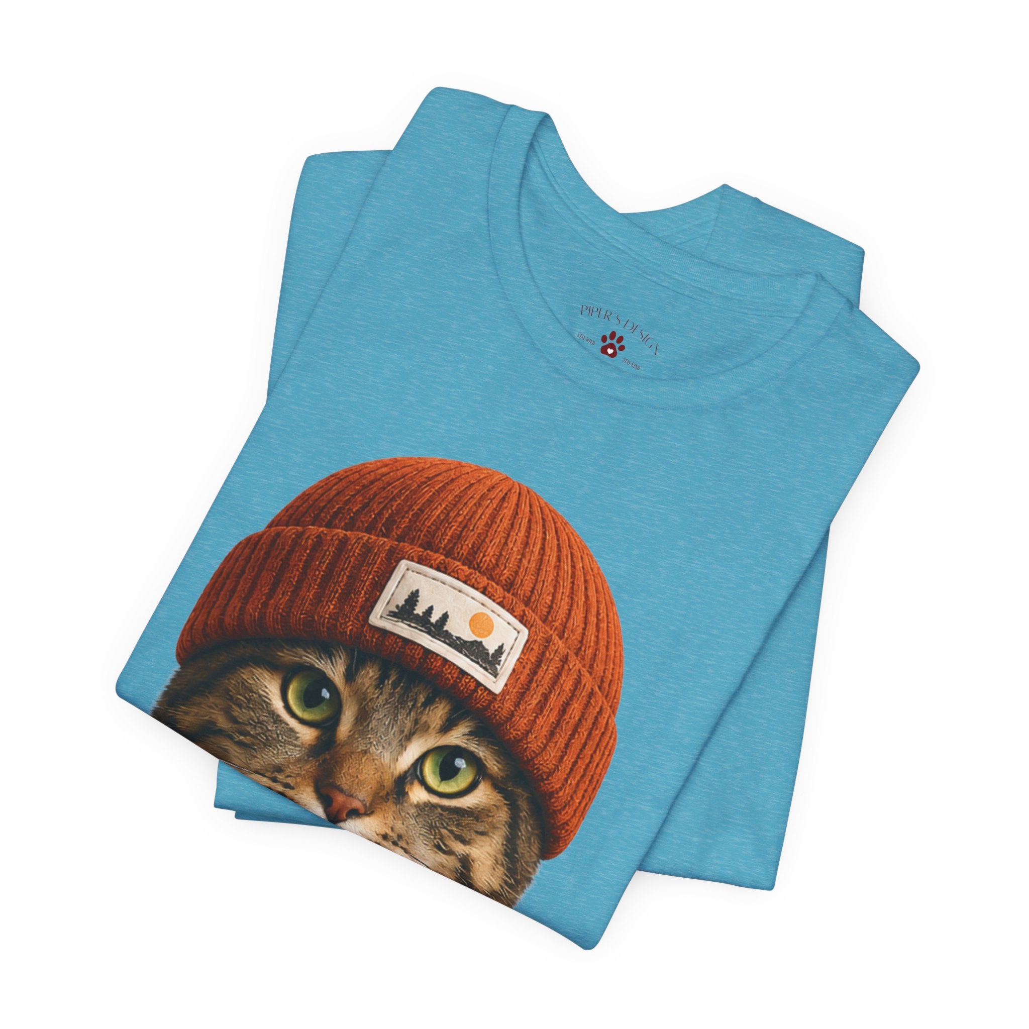 Tabby Cat in a Beanie