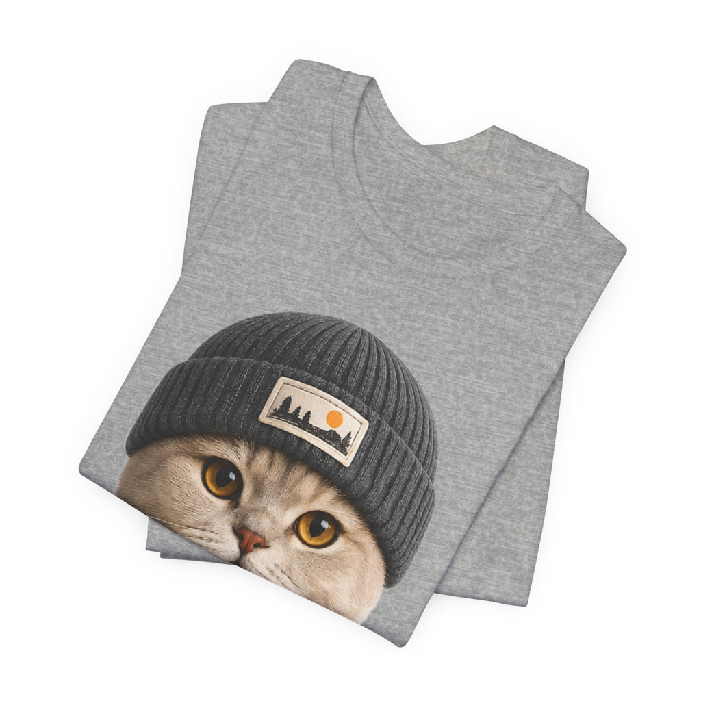 British Shorthair Cat in a Beanie