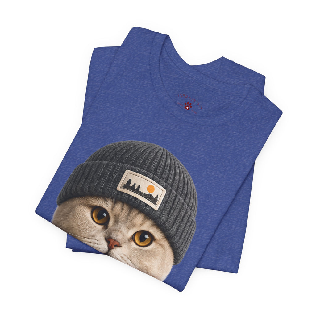 British Shorthair Cat in a Beanie