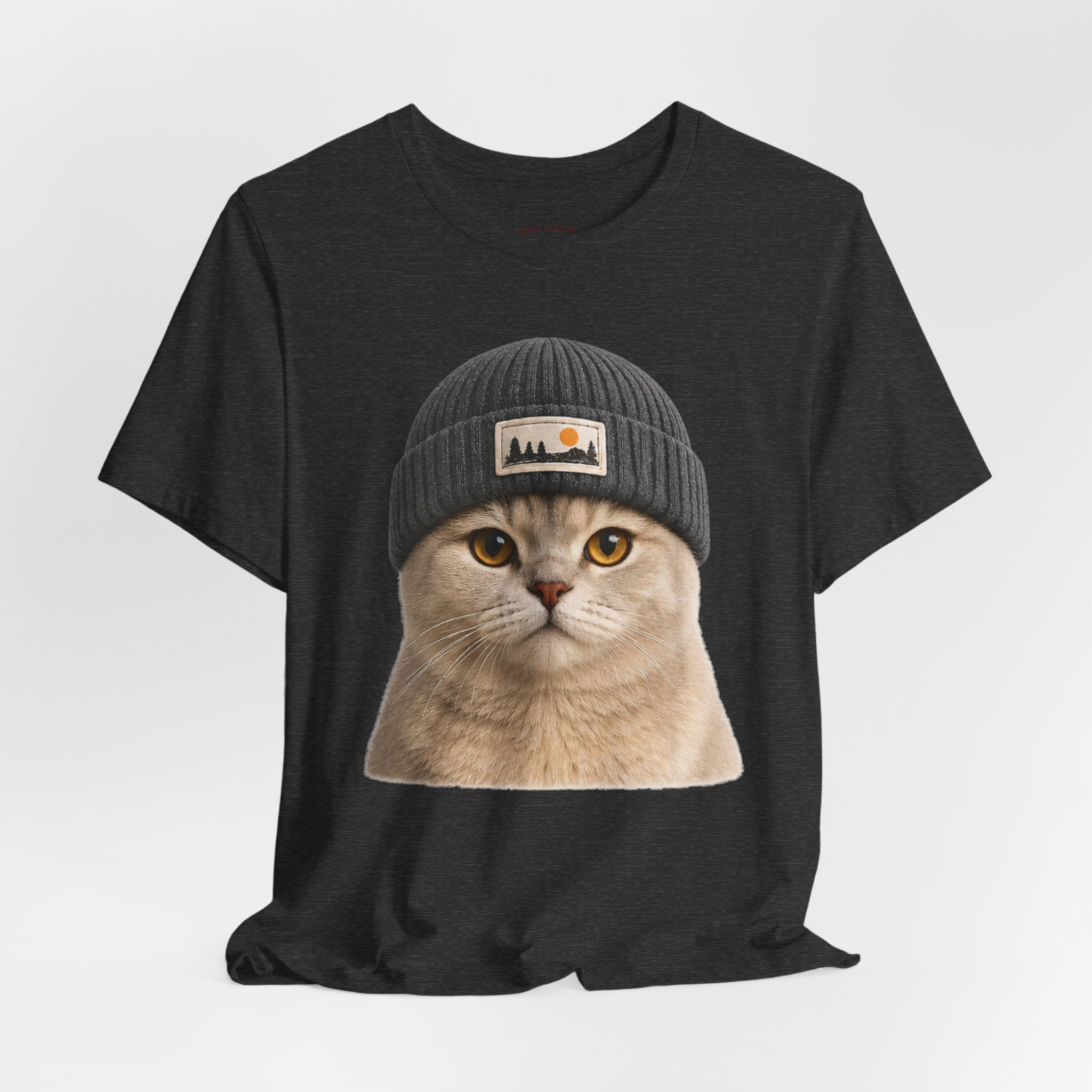 British Shorthair Cat in a Beanie