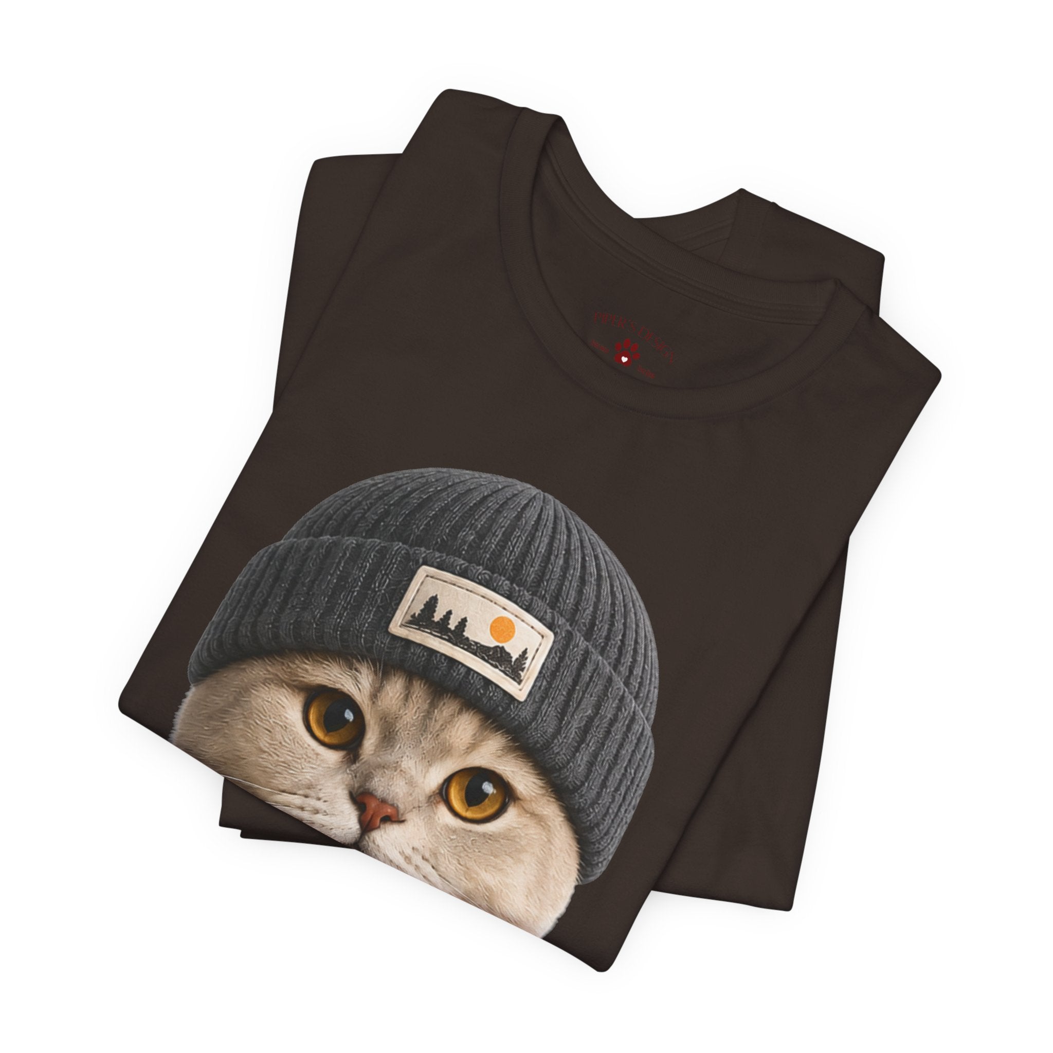 British Shorthair Cat in a Beanie