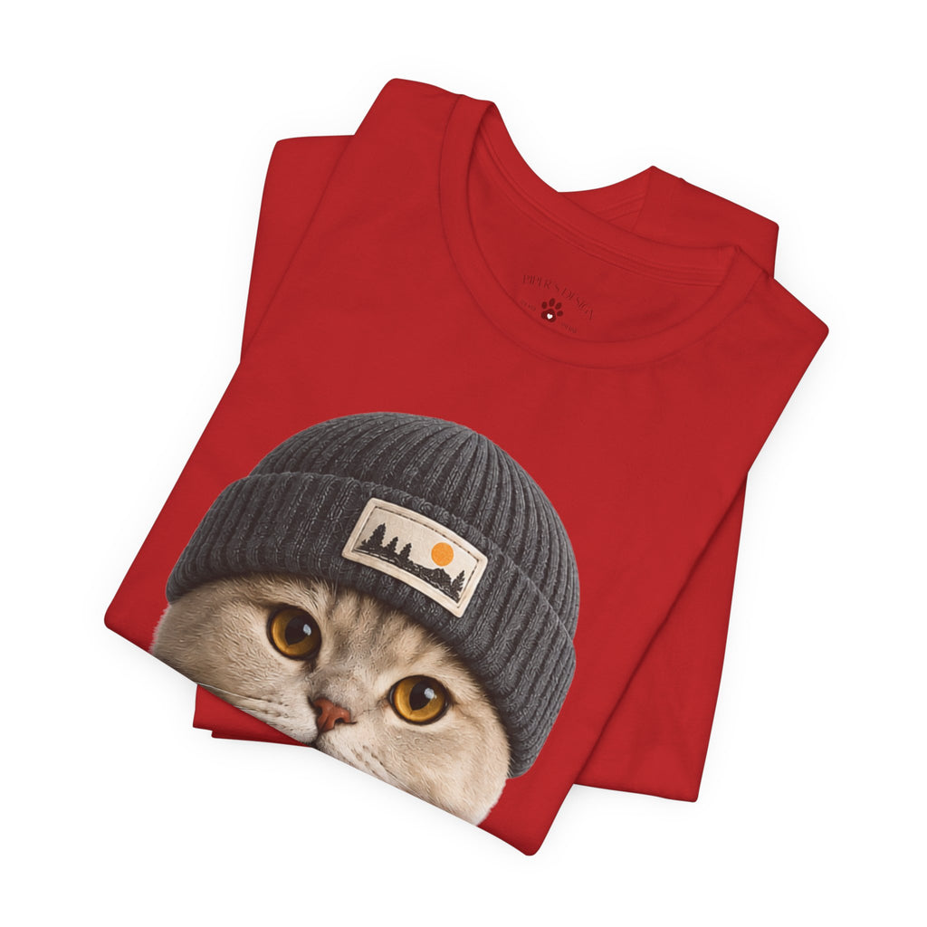 British Shorthair Cat in a Beanie