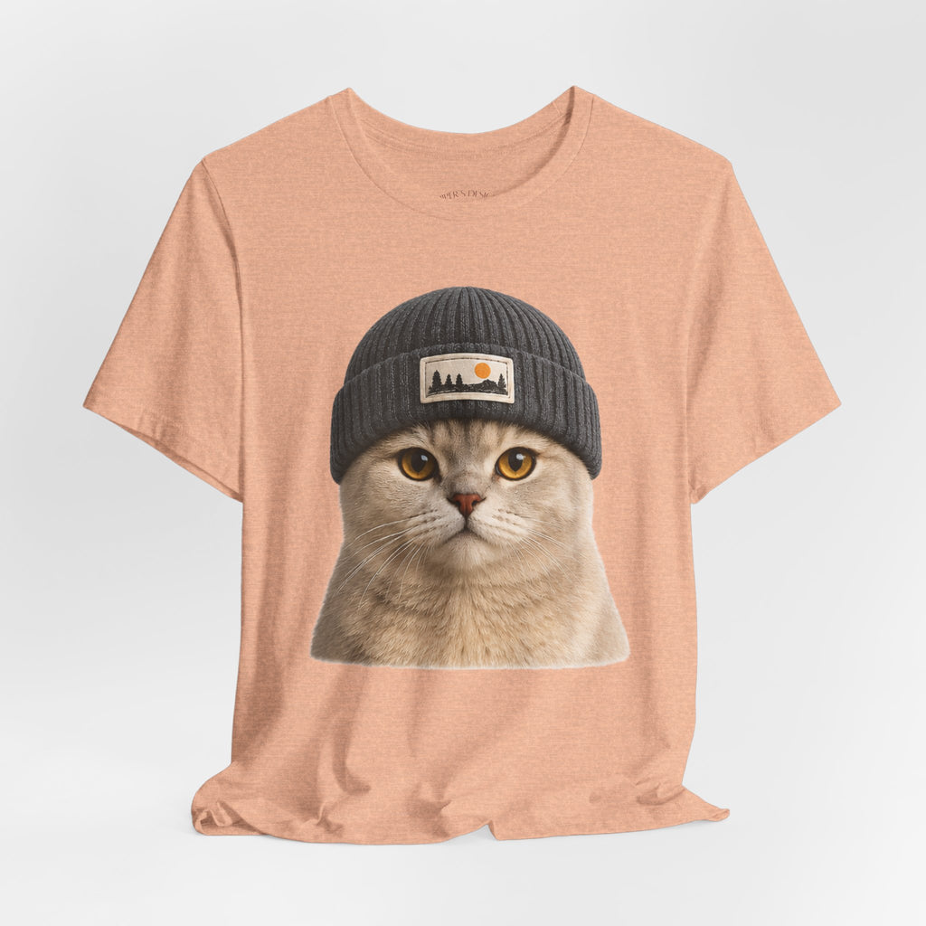 British Shorthair Cat in a Beanie