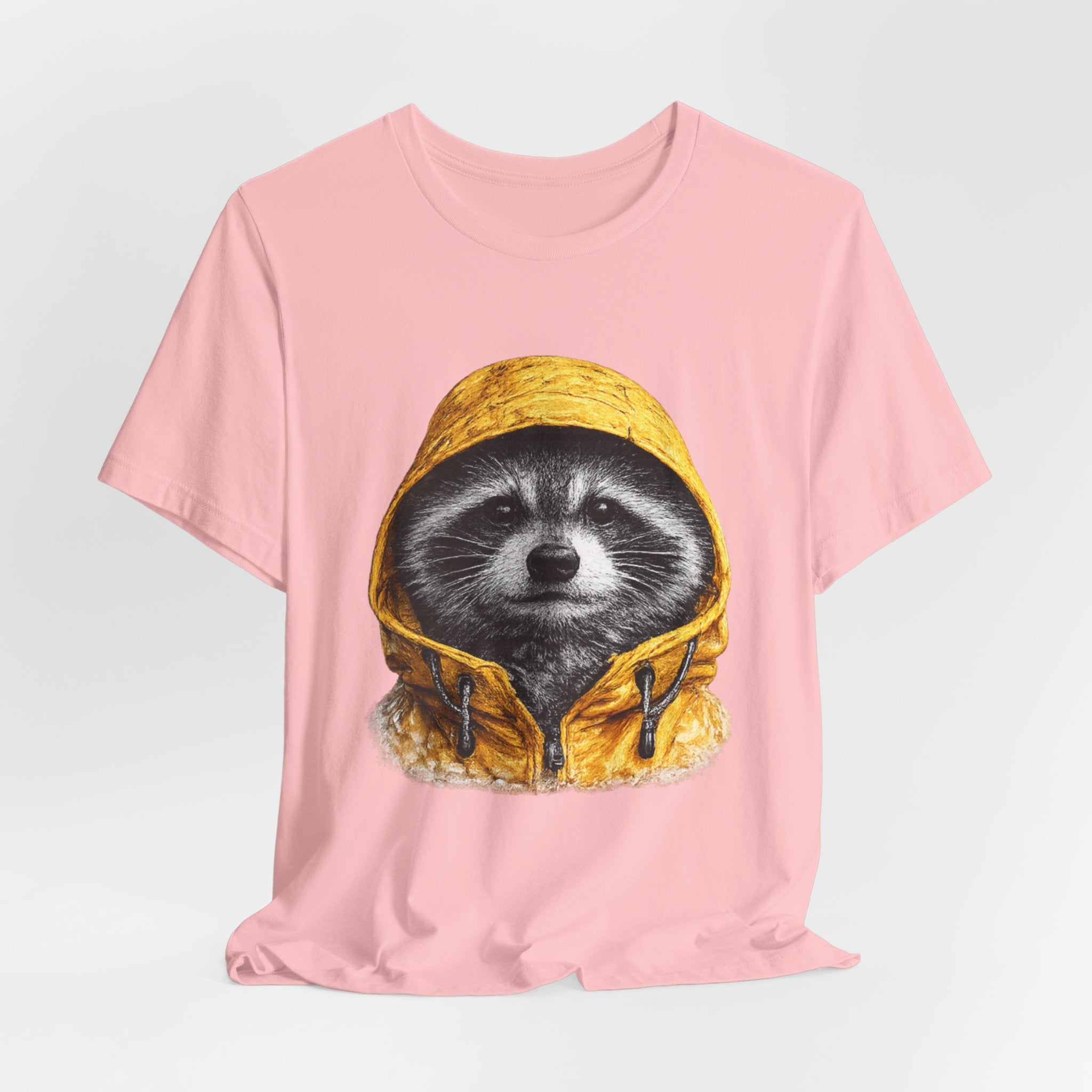 Raincoat Raccoon