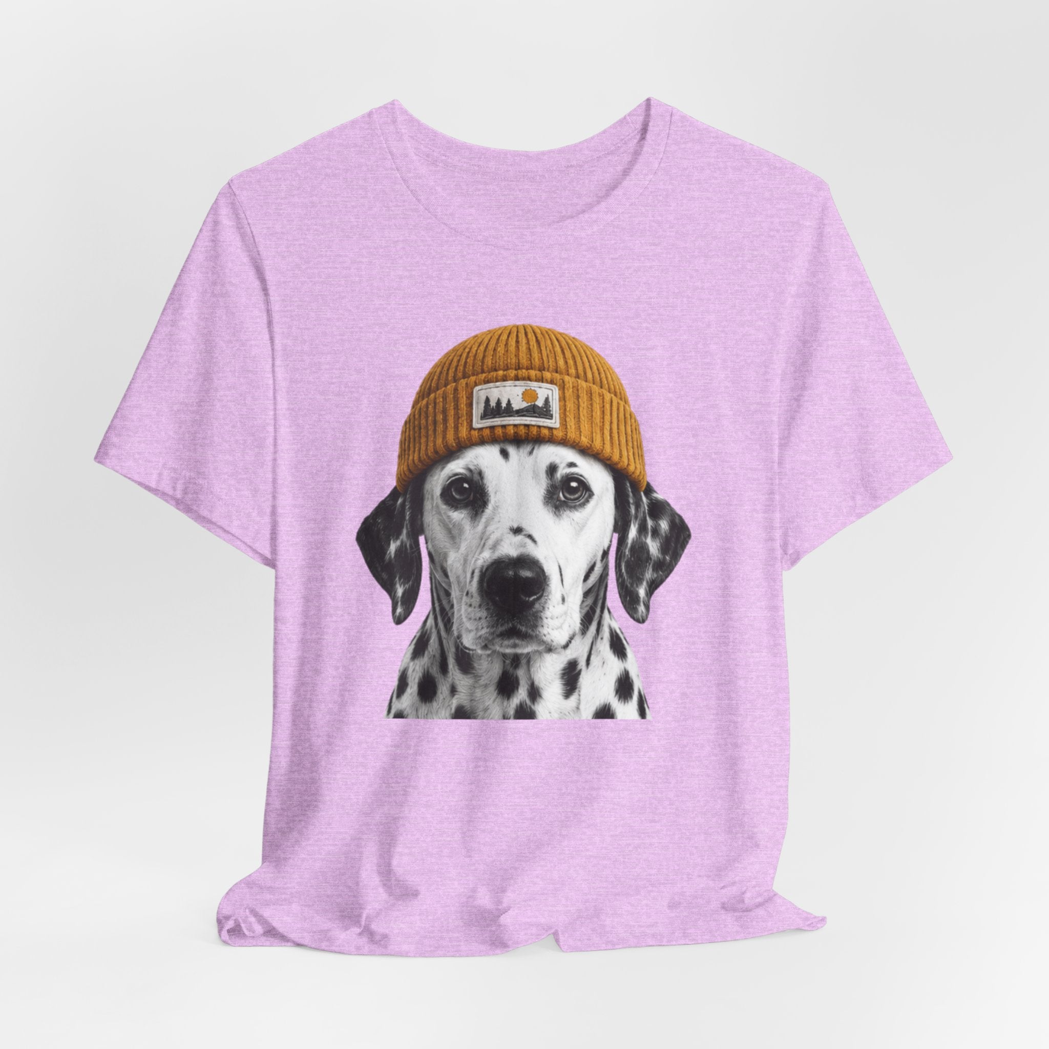 Dalmatian in a Beanie