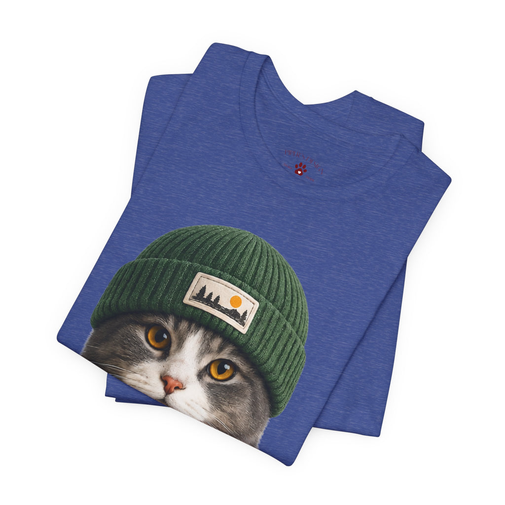 Cat in a Beanie