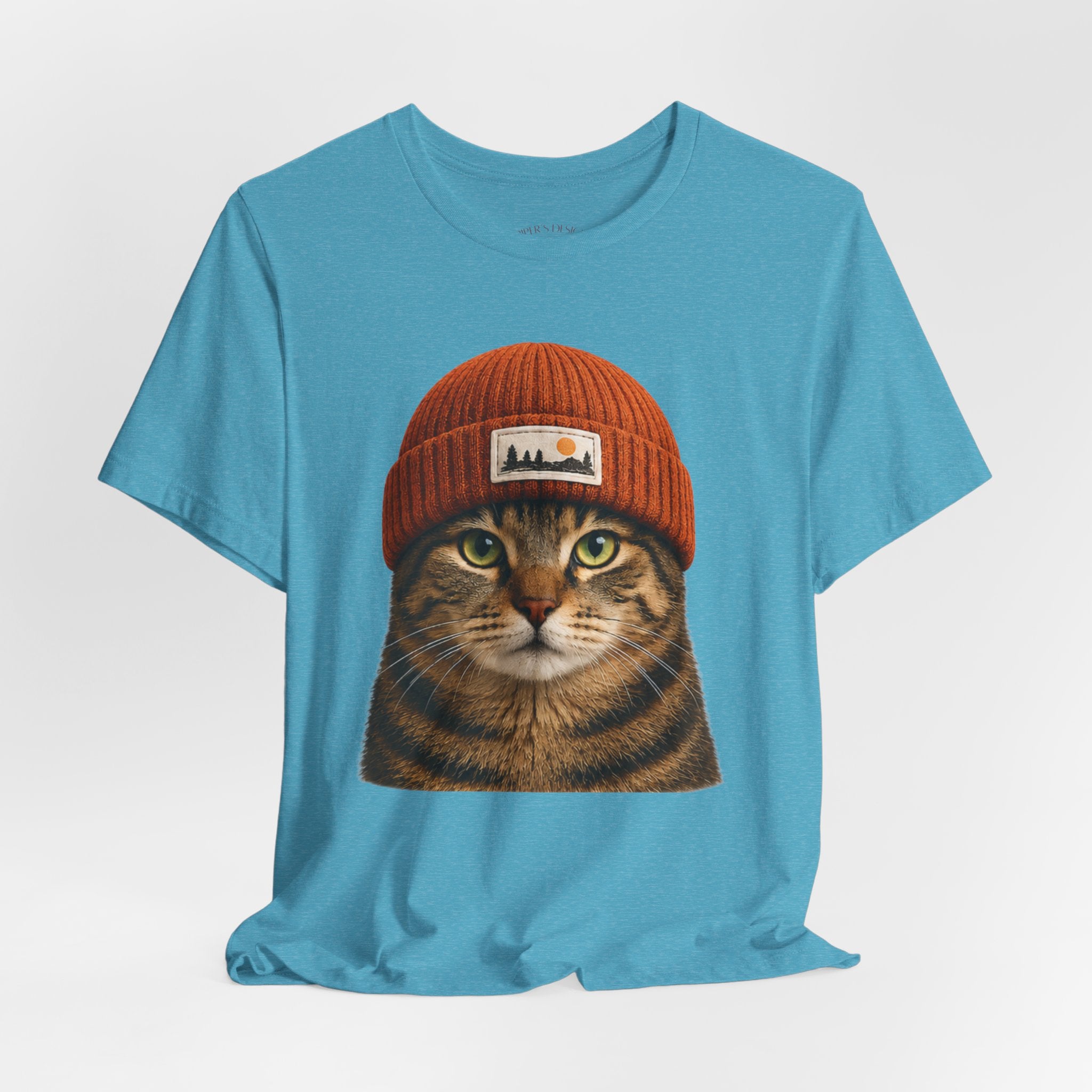 Tabby Cat in a Beanie