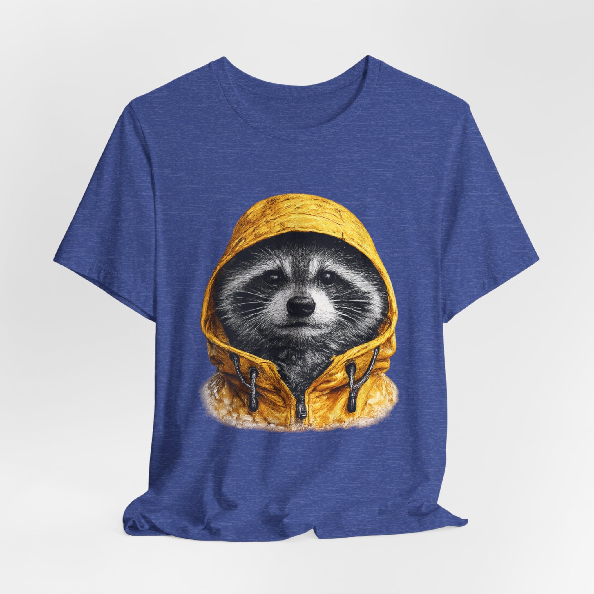 Raincoat Raccoon