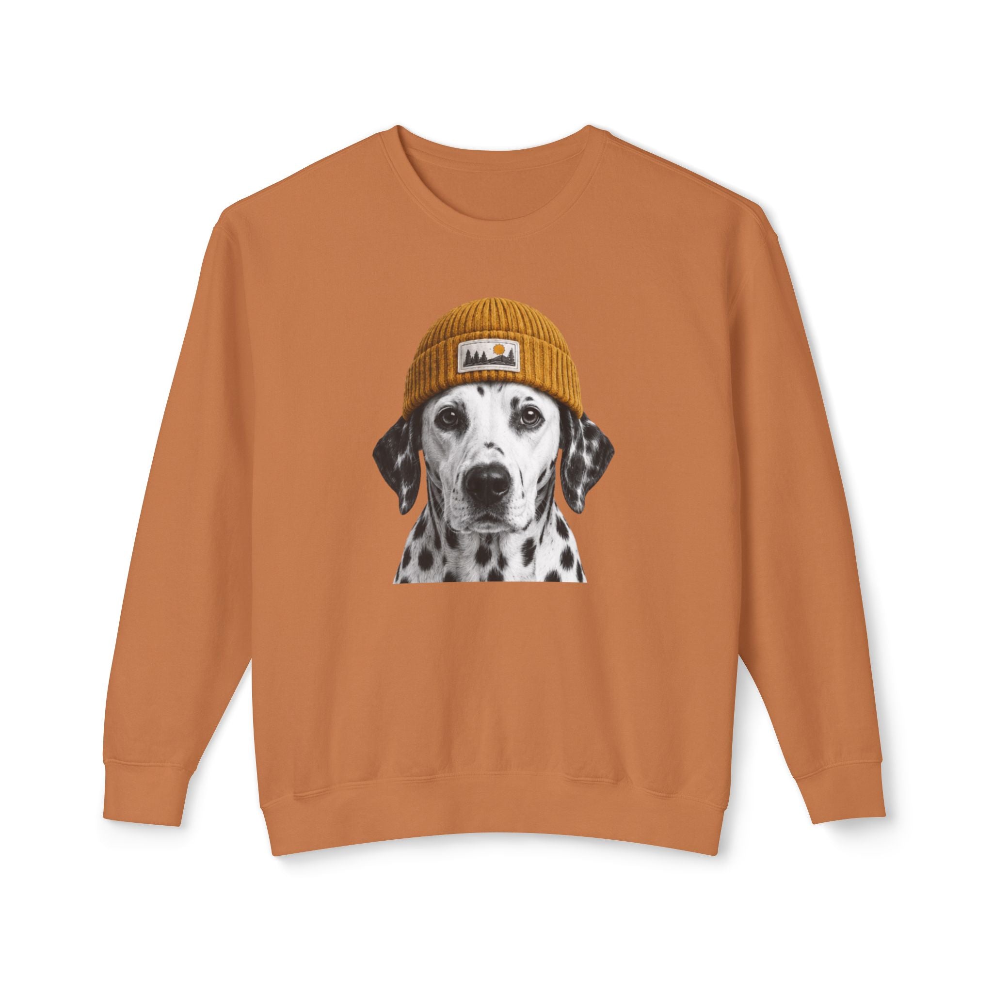 Dalmatian Beanie Sweatshirt