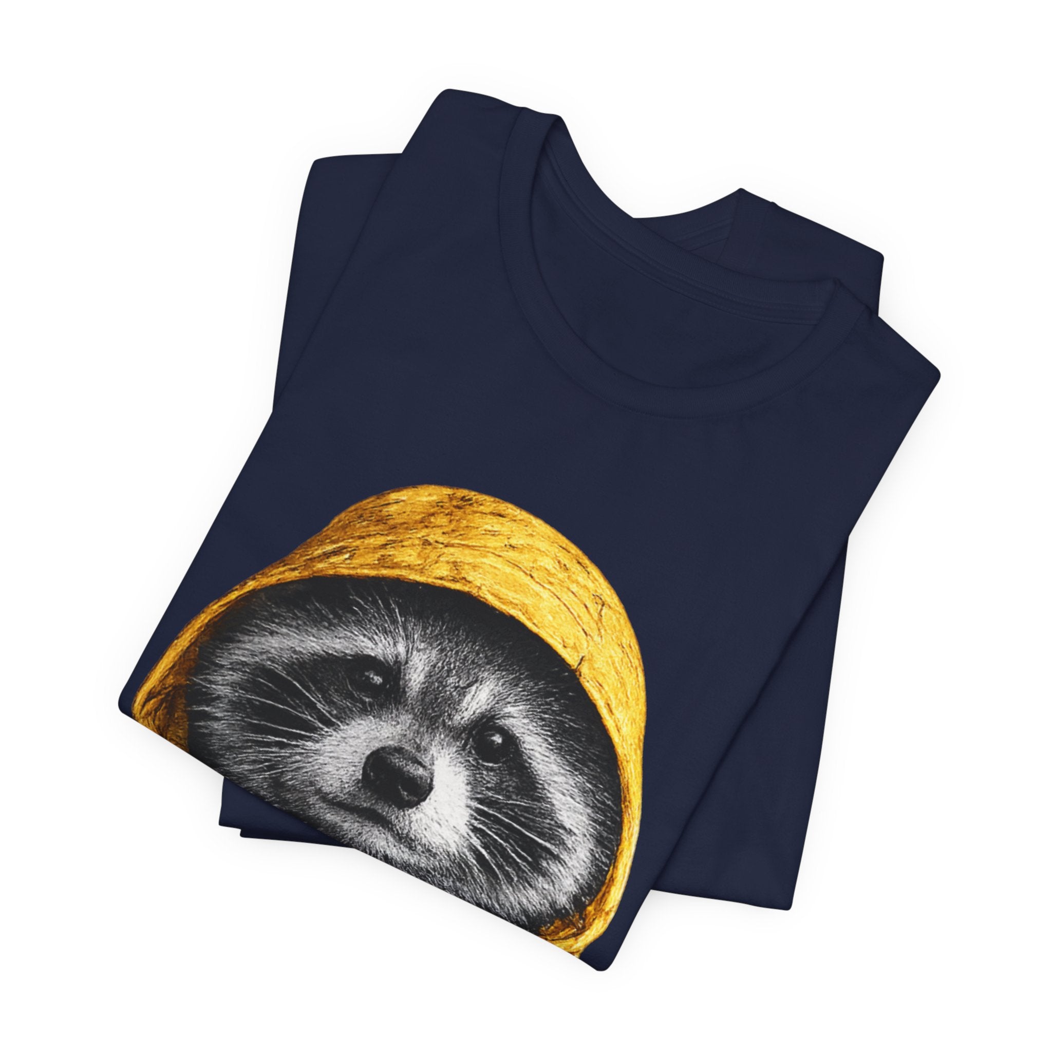 Raincoat Raccoon
