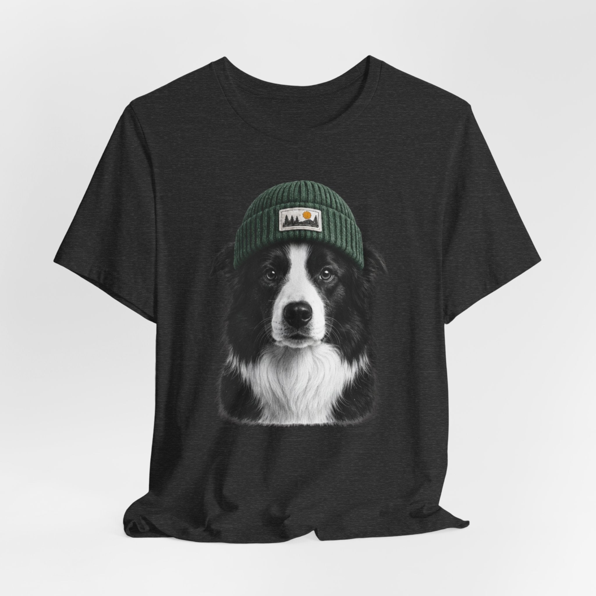 Border Collie in a Beanie