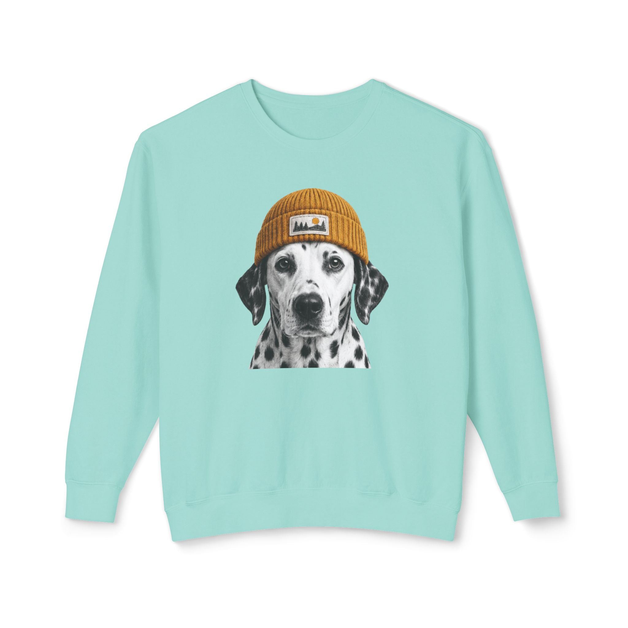 Dalmatian Beanie Sweatshirt