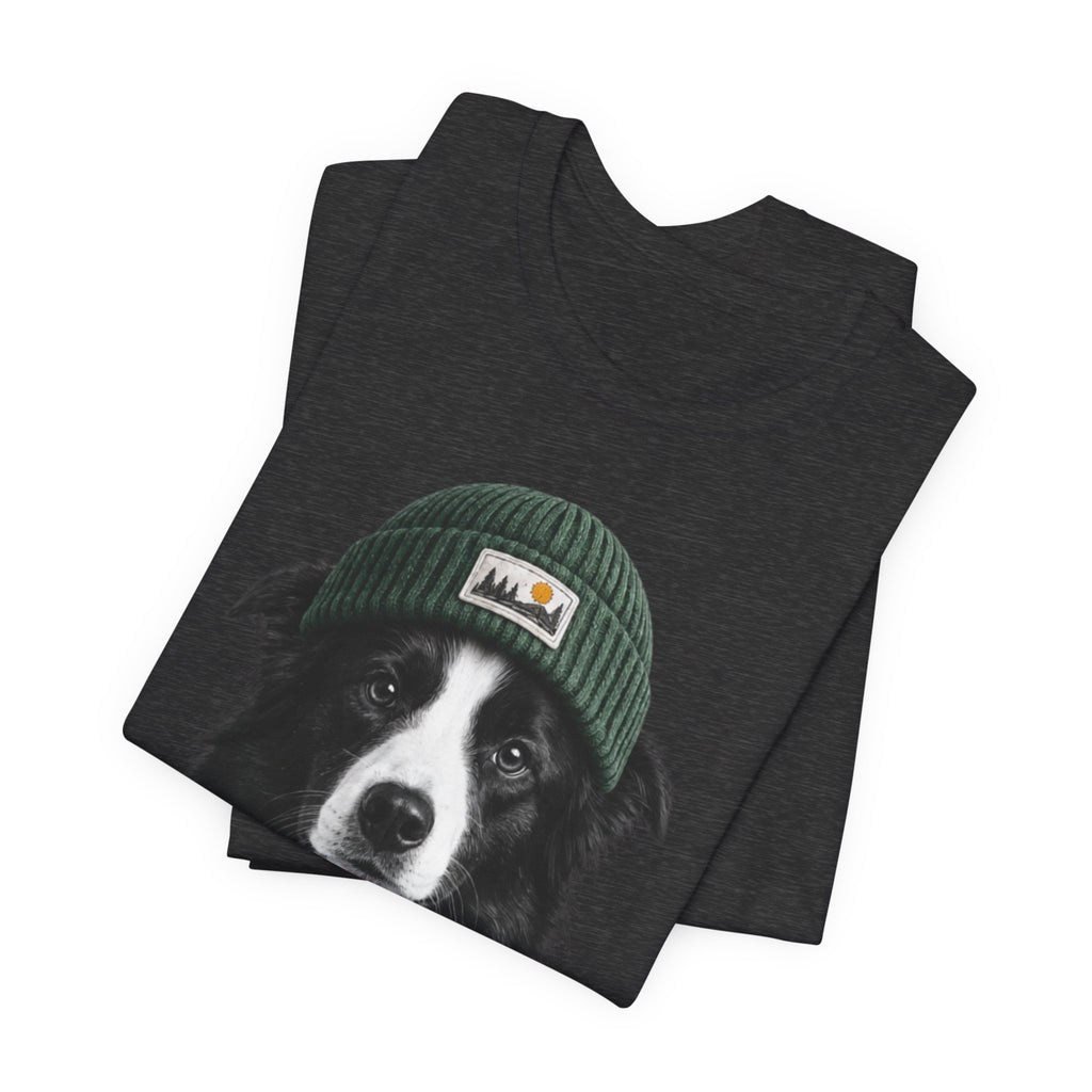 Border Collie in a Beanie