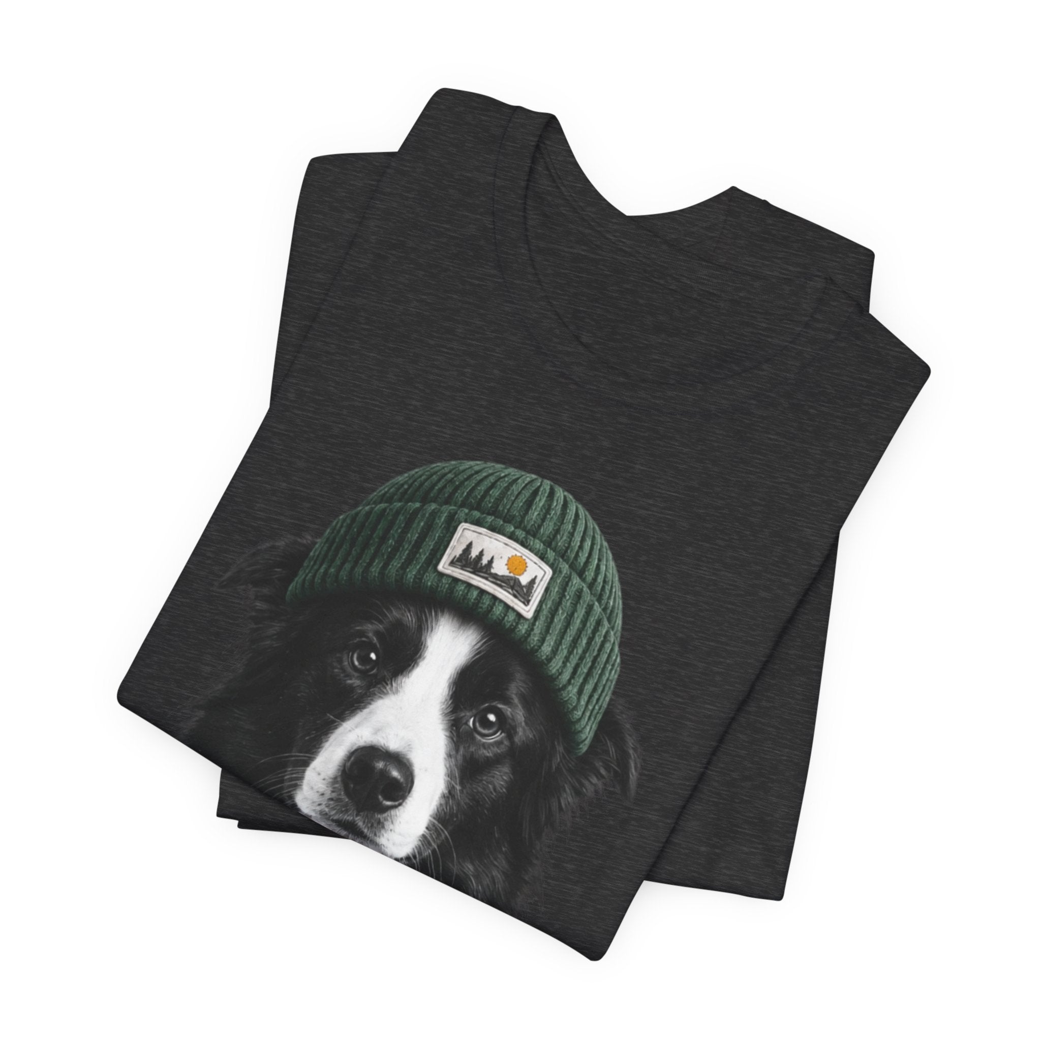 Border Collie in a Beanie
