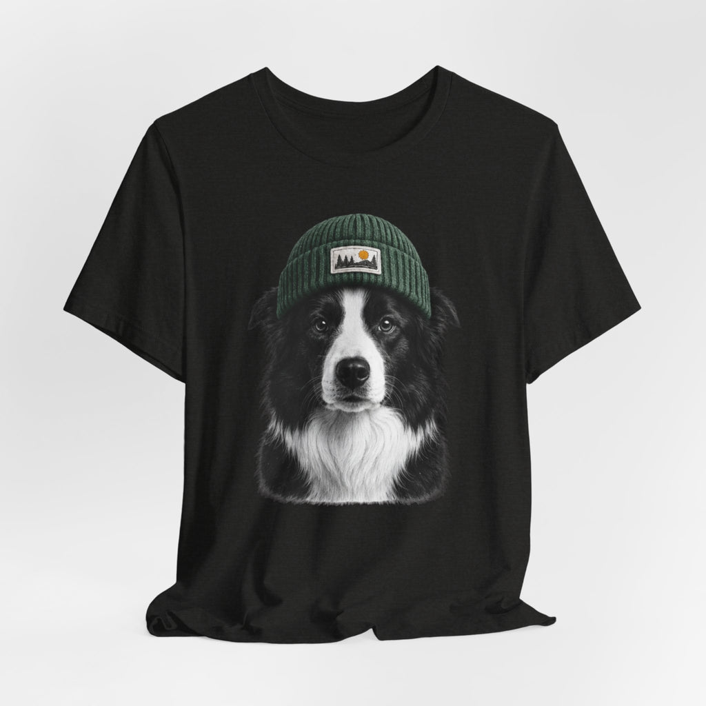 Border Collie in a Beanie