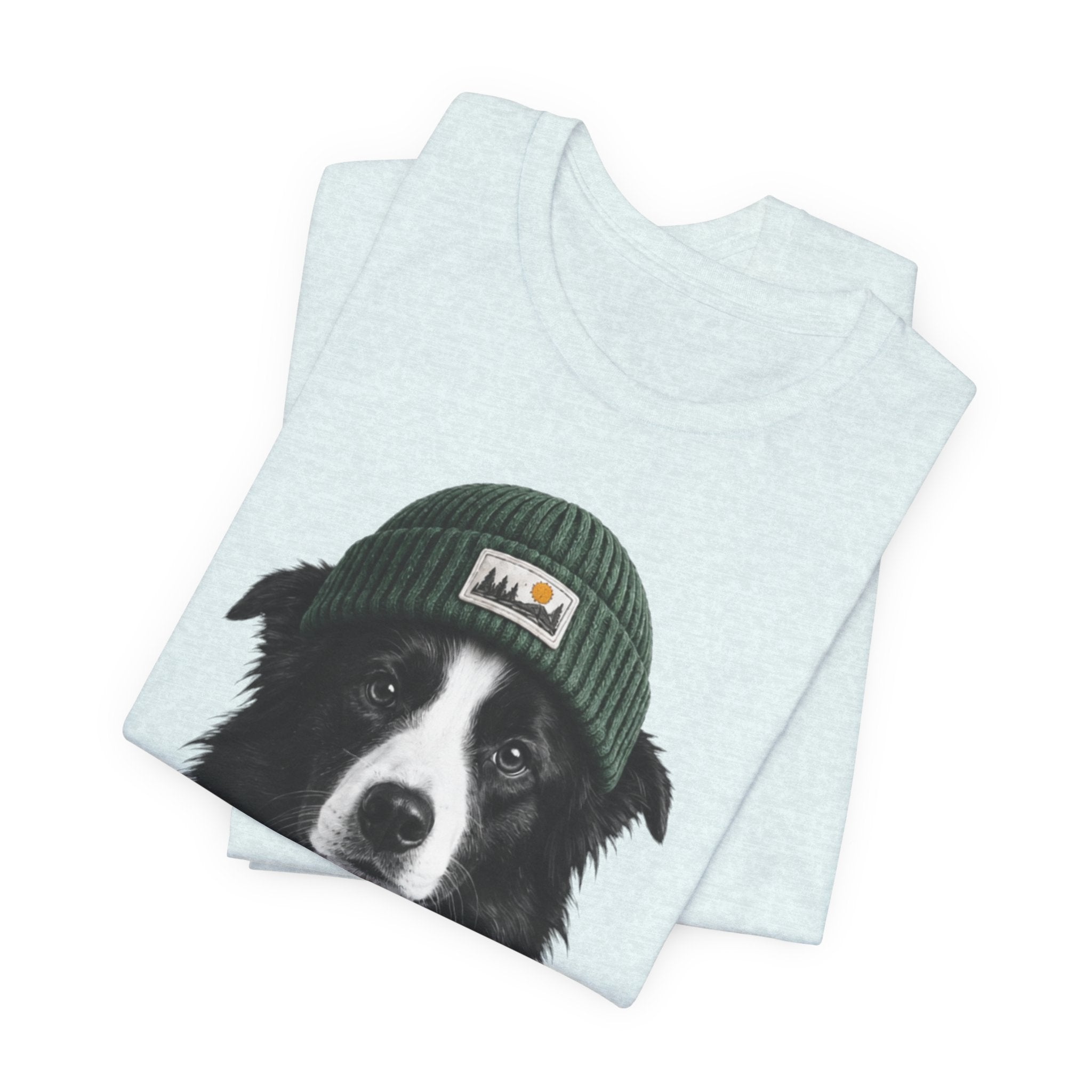 Border Collie in a Beanie