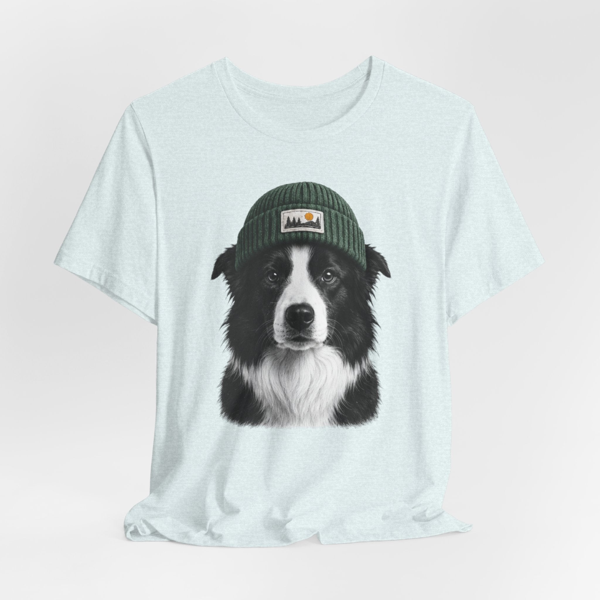 Border Collie in a Beanie