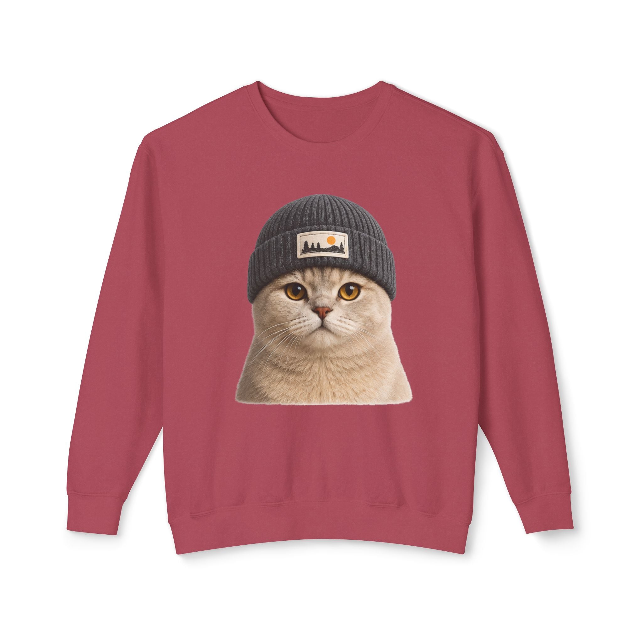 Cat Beanie Sweatshirt