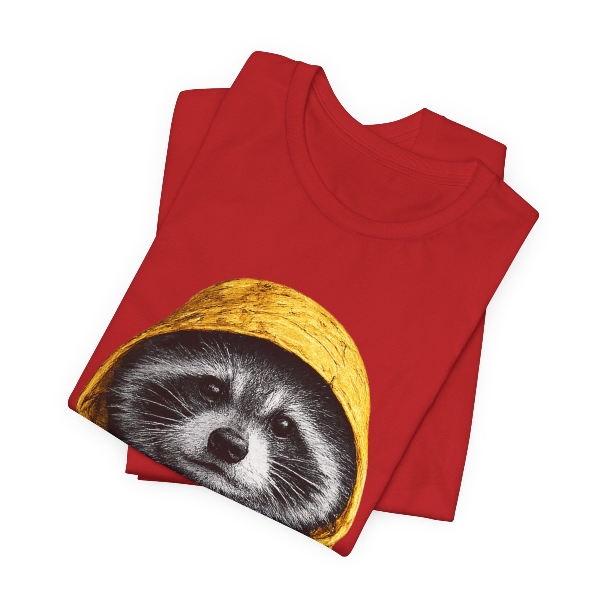 Raincoat Raccoon