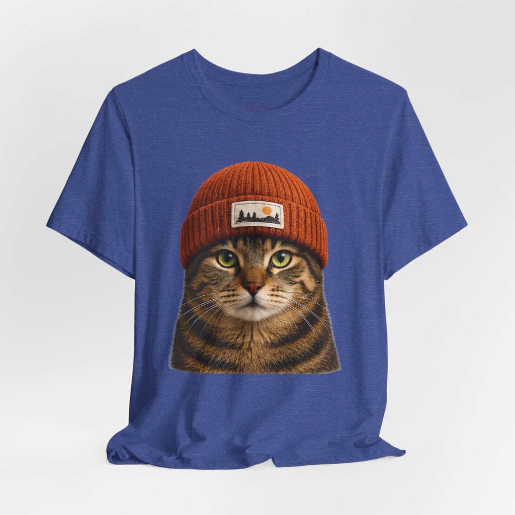 Tabby Cat in a Beanie