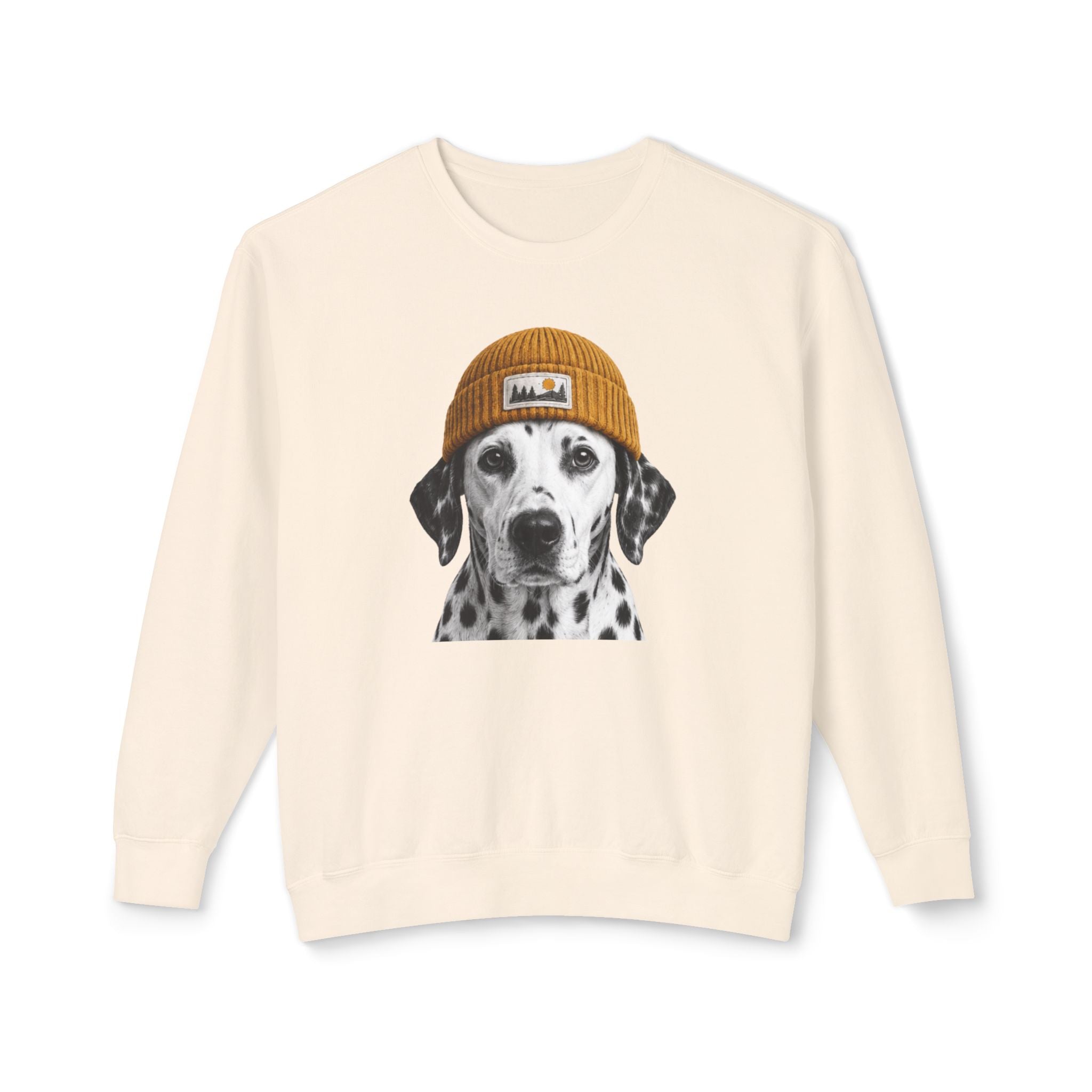 Dalmatian Beanie Sweatshirt