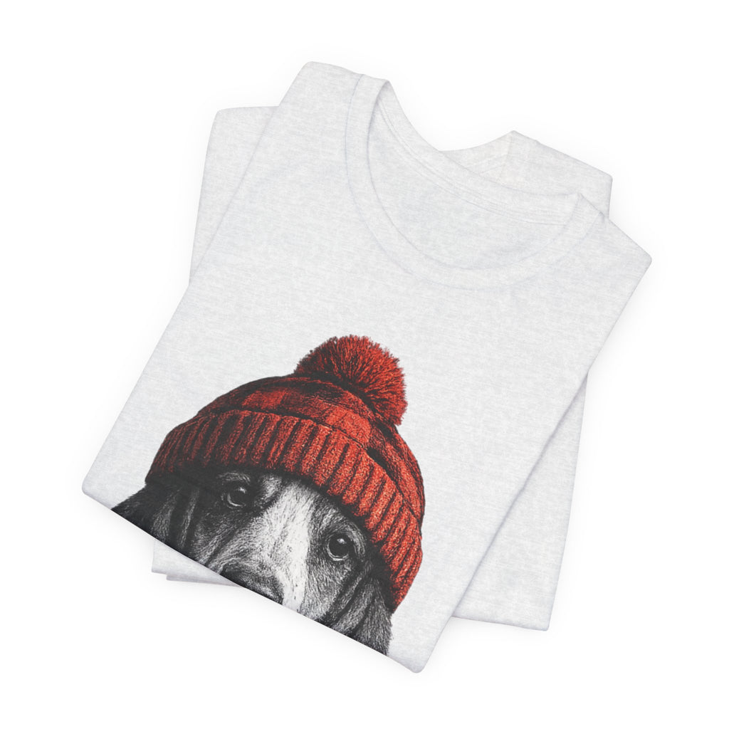 Basset in a Beanie