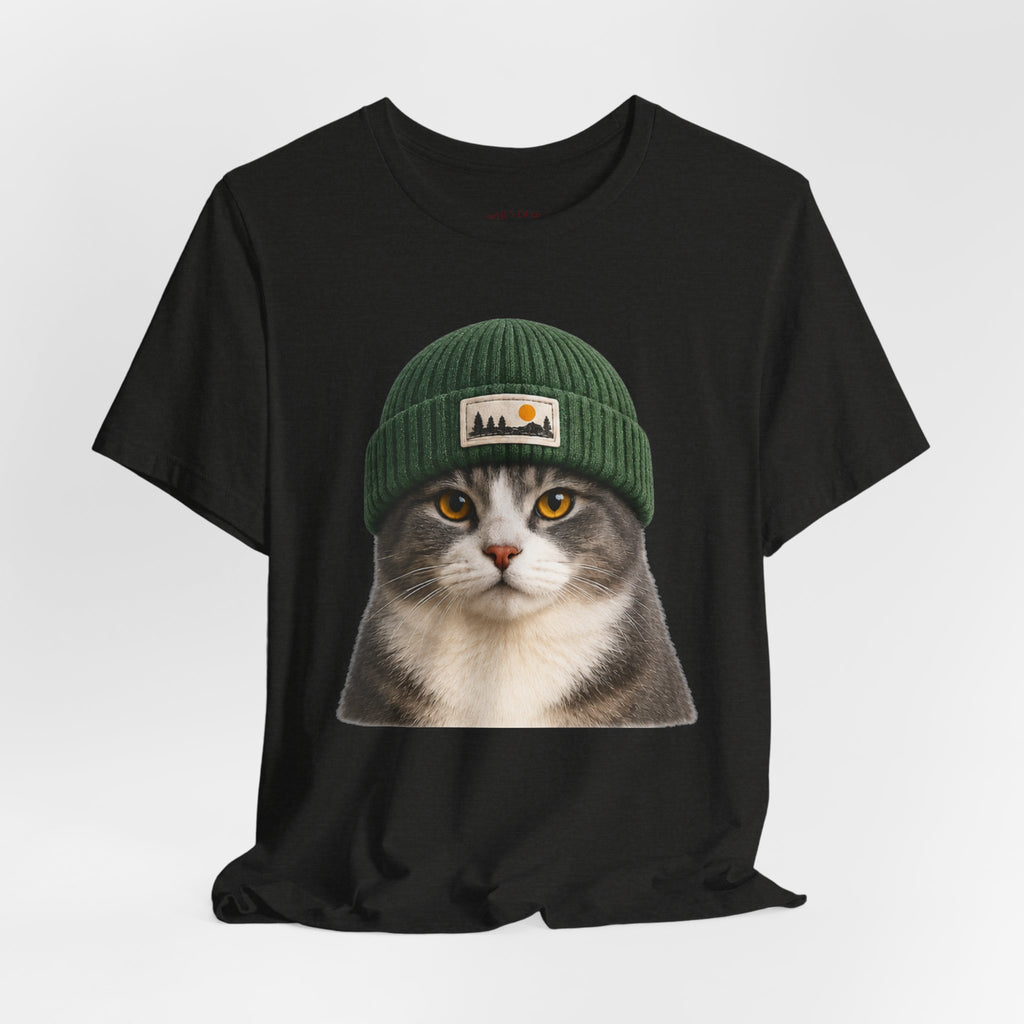 Cat in a Beanie