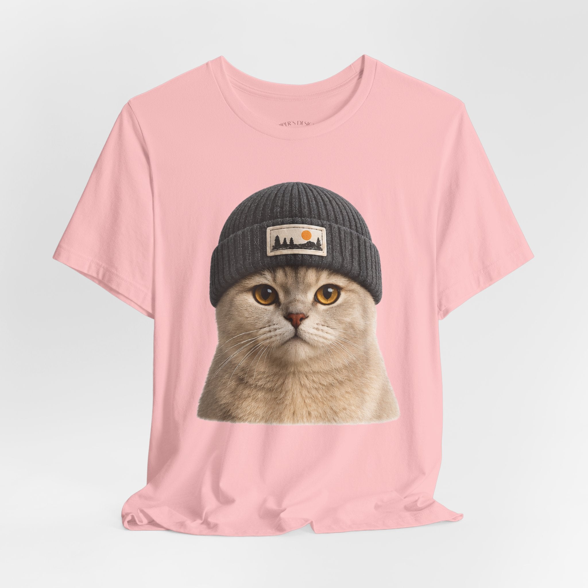 British Shorthair Cat in a Beanie