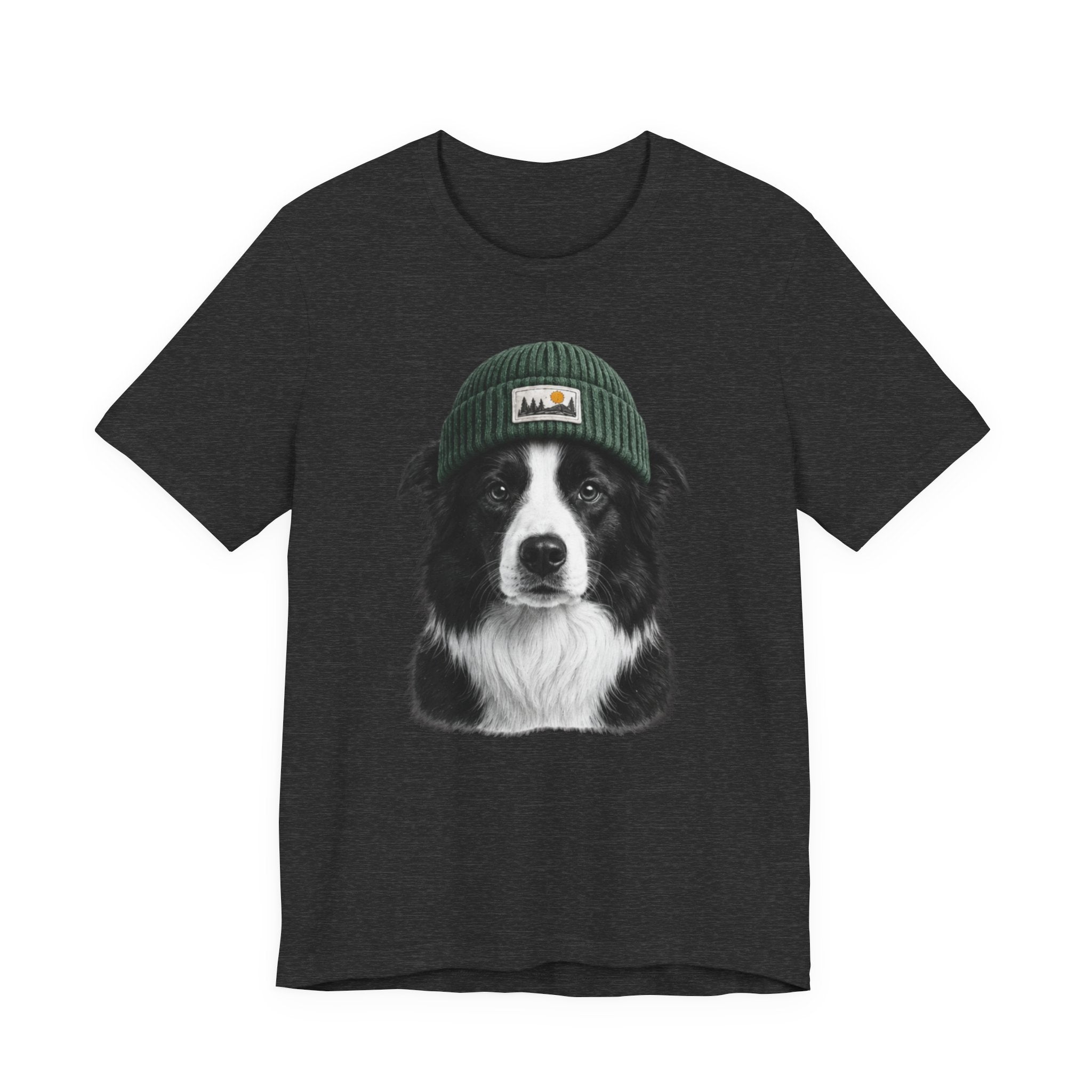 Border Collie in a Beanie