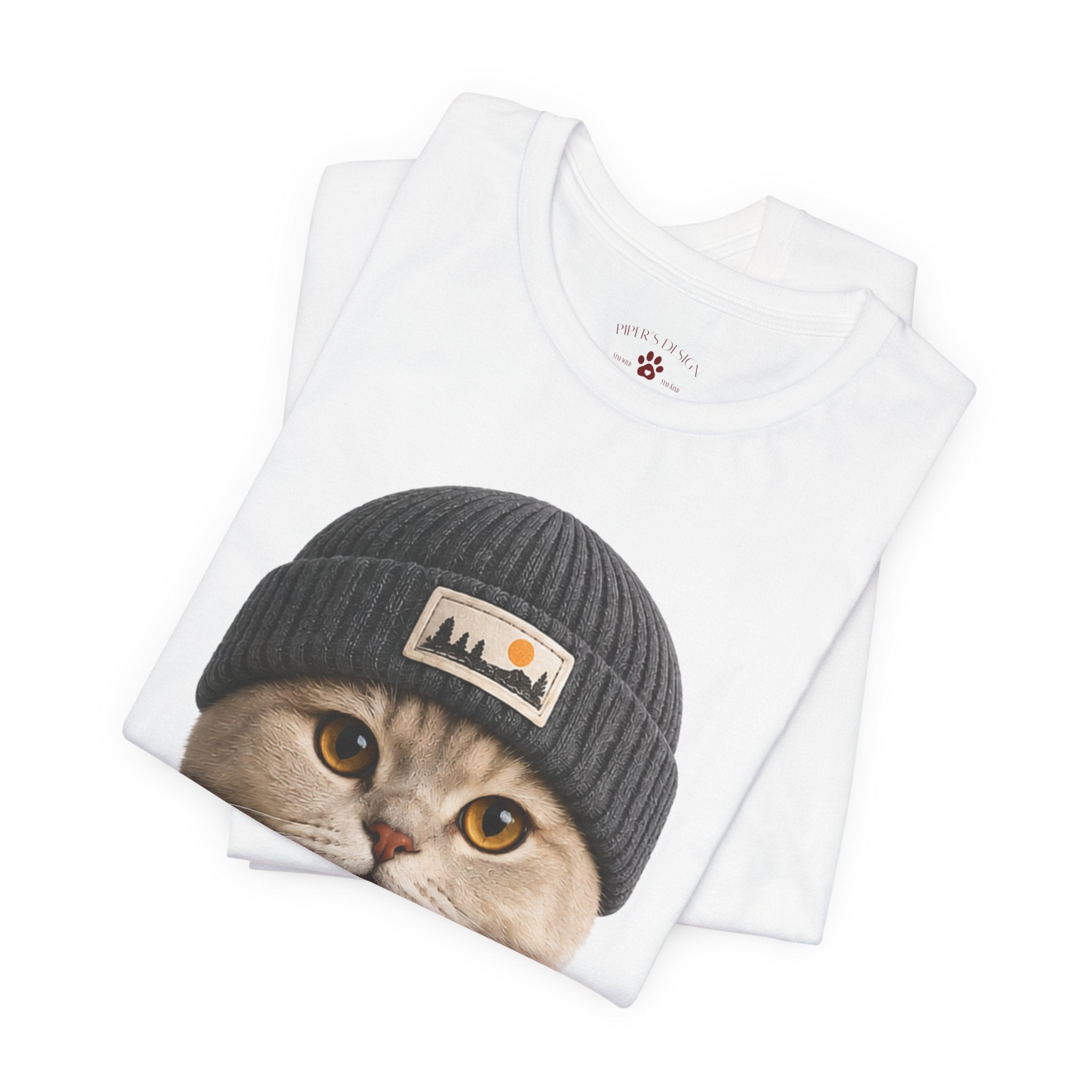 British Shorthair Cat in a Beanie