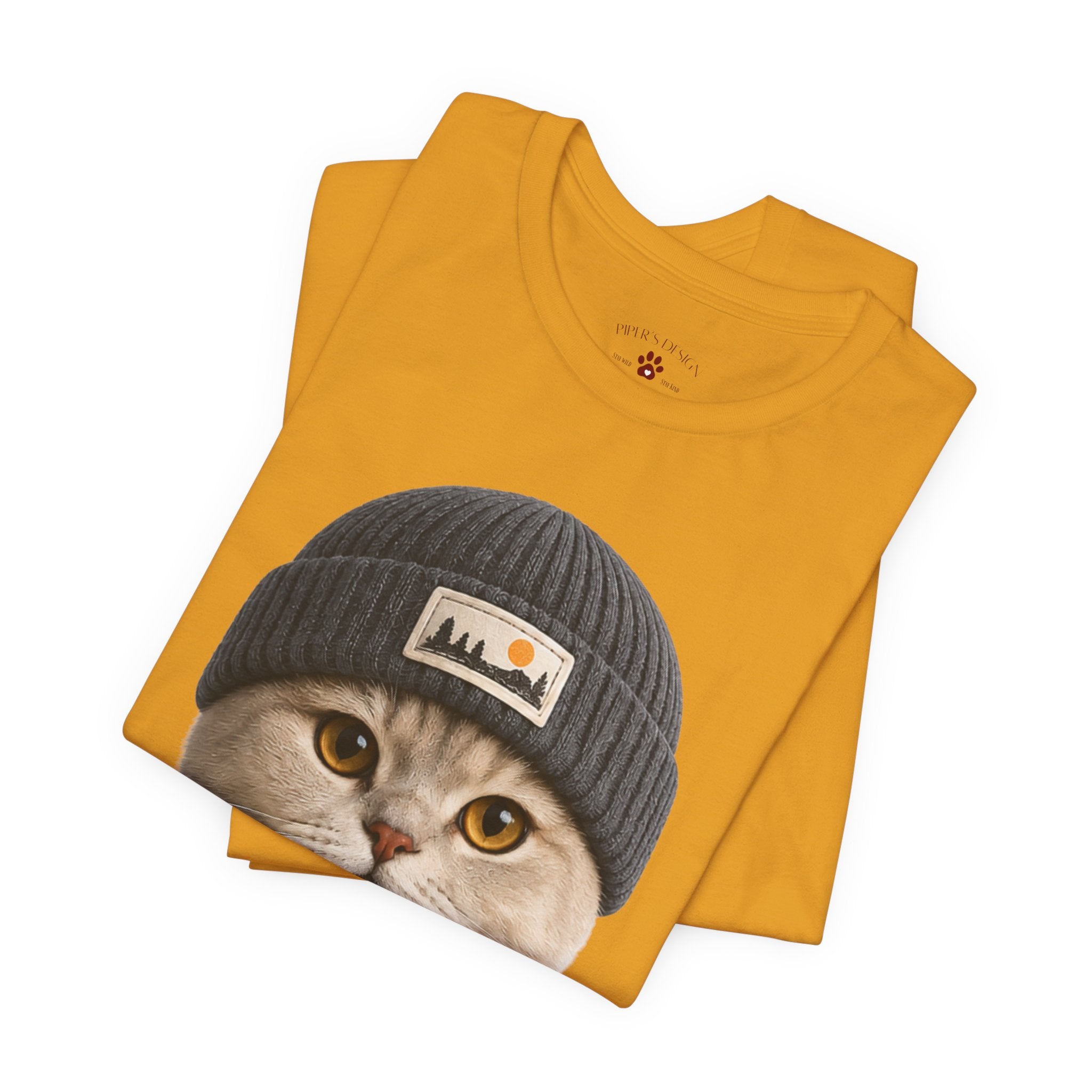 British Shorthair Cat in a Beanie