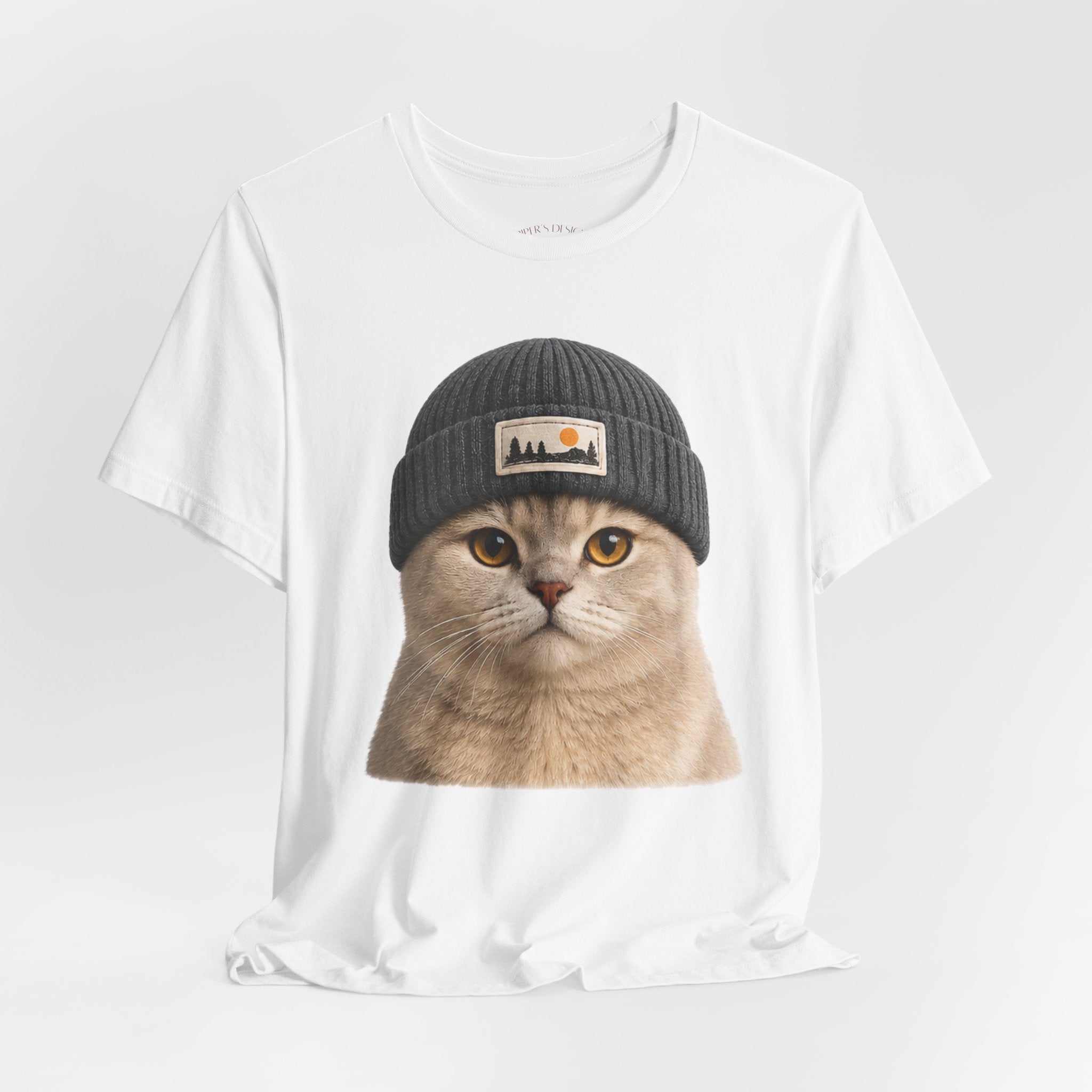 British Shorthair Cat in a Beanie