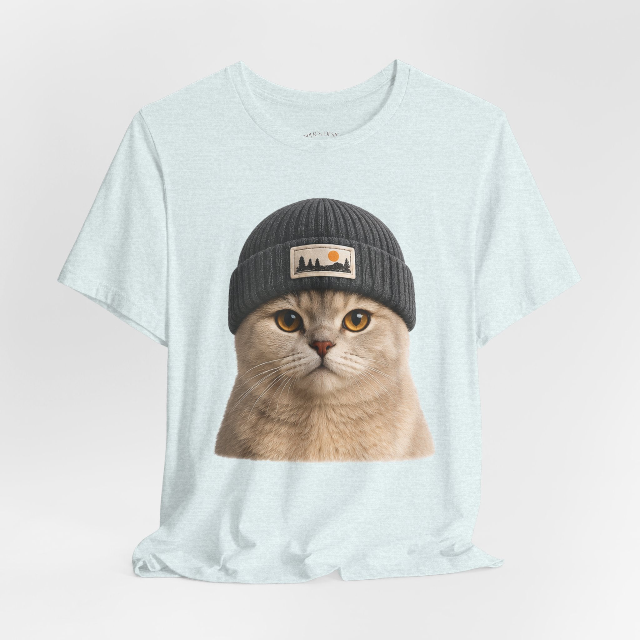 British Shorthair Cat in a Beanie