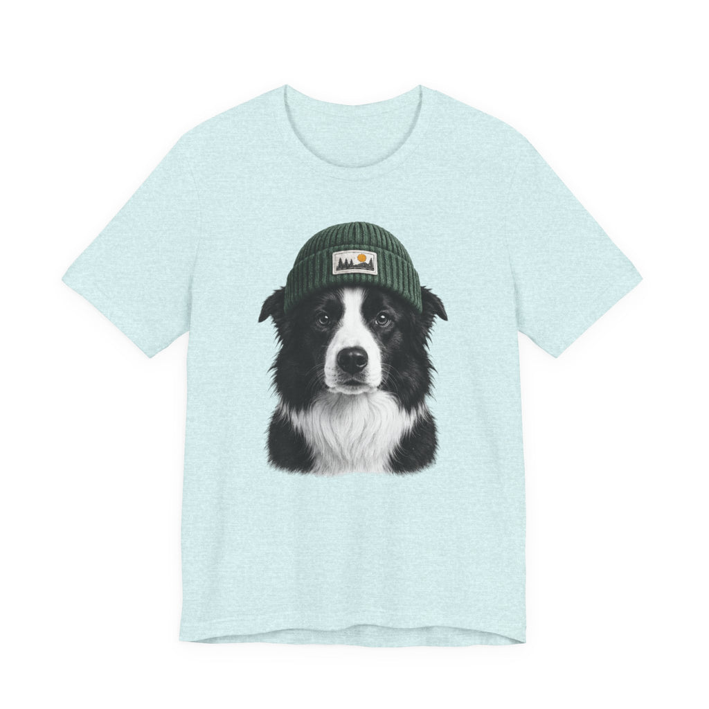 Border Collie in a Beanie