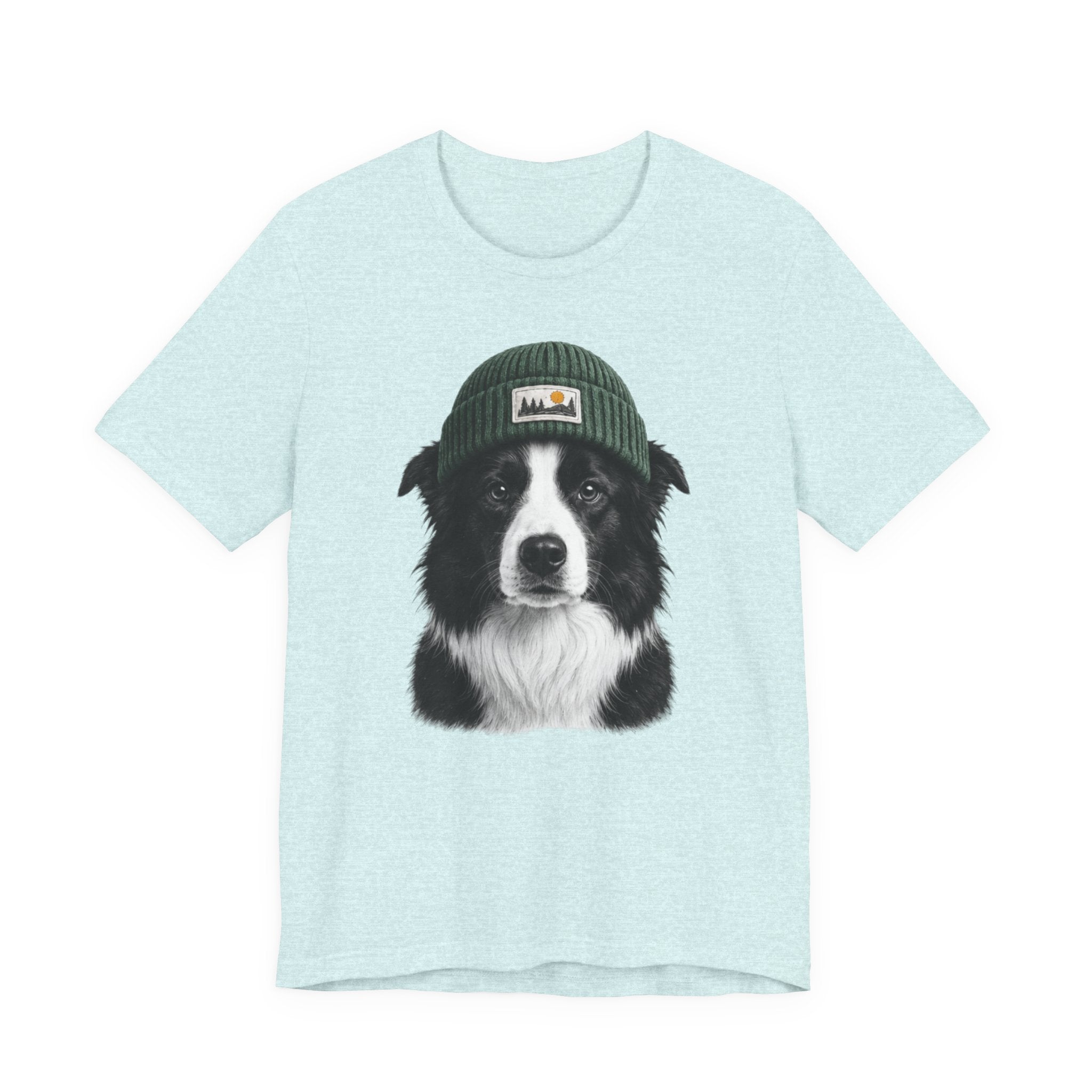 Border Collie in a Beanie
