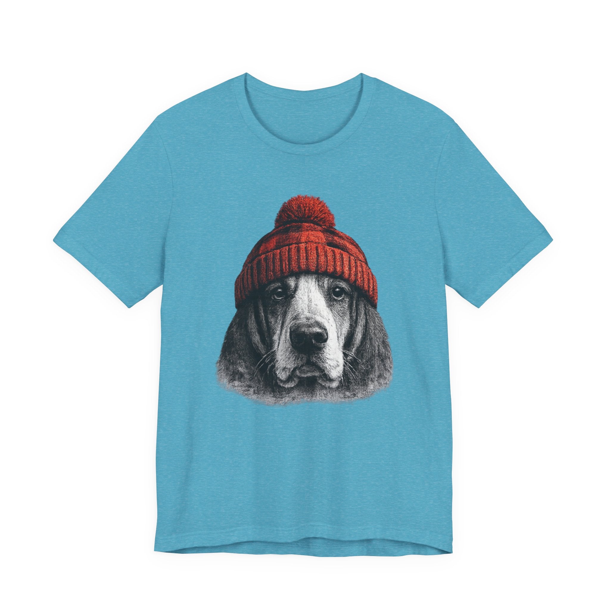 Basset in a Beanie
