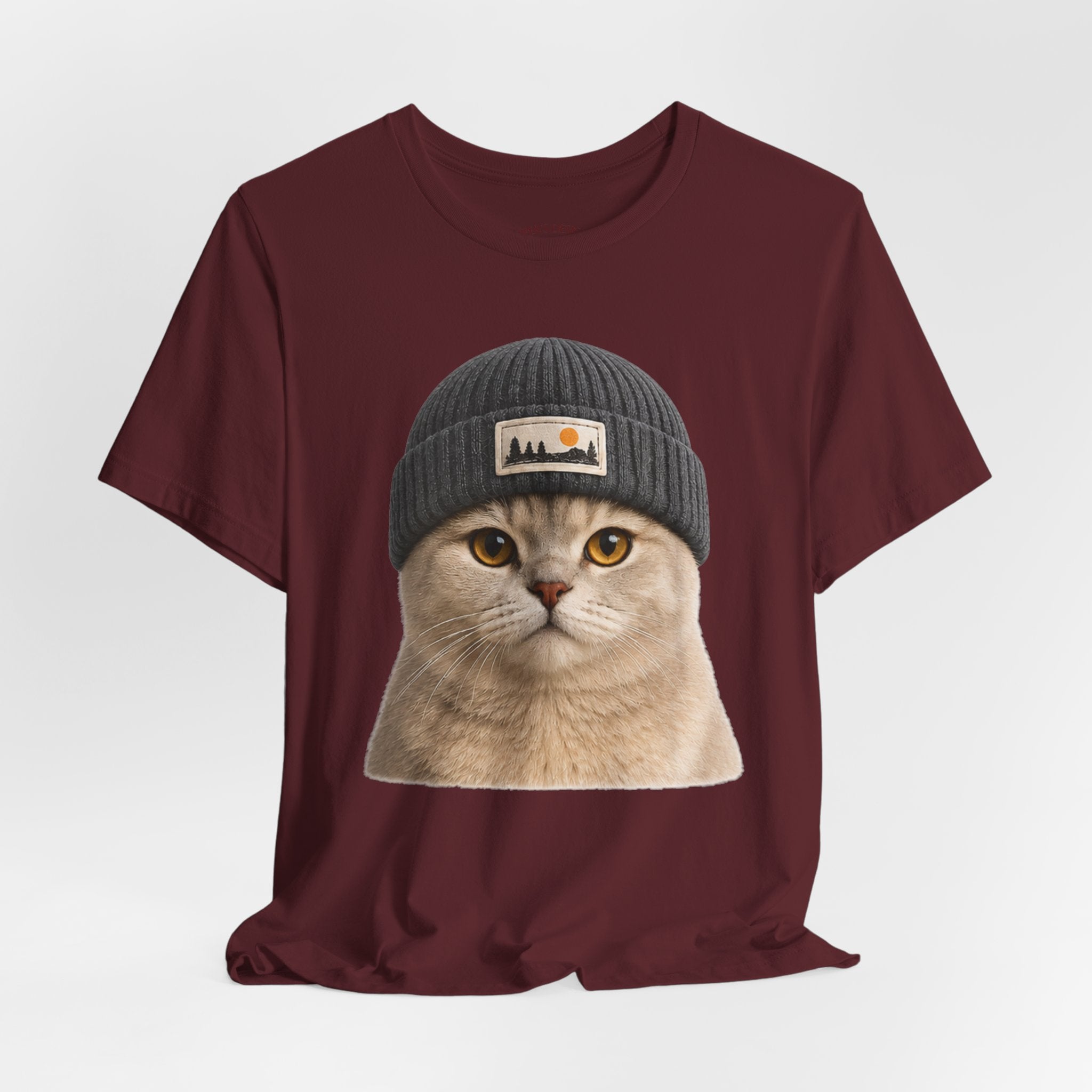 British Shorthair Cat in a Beanie