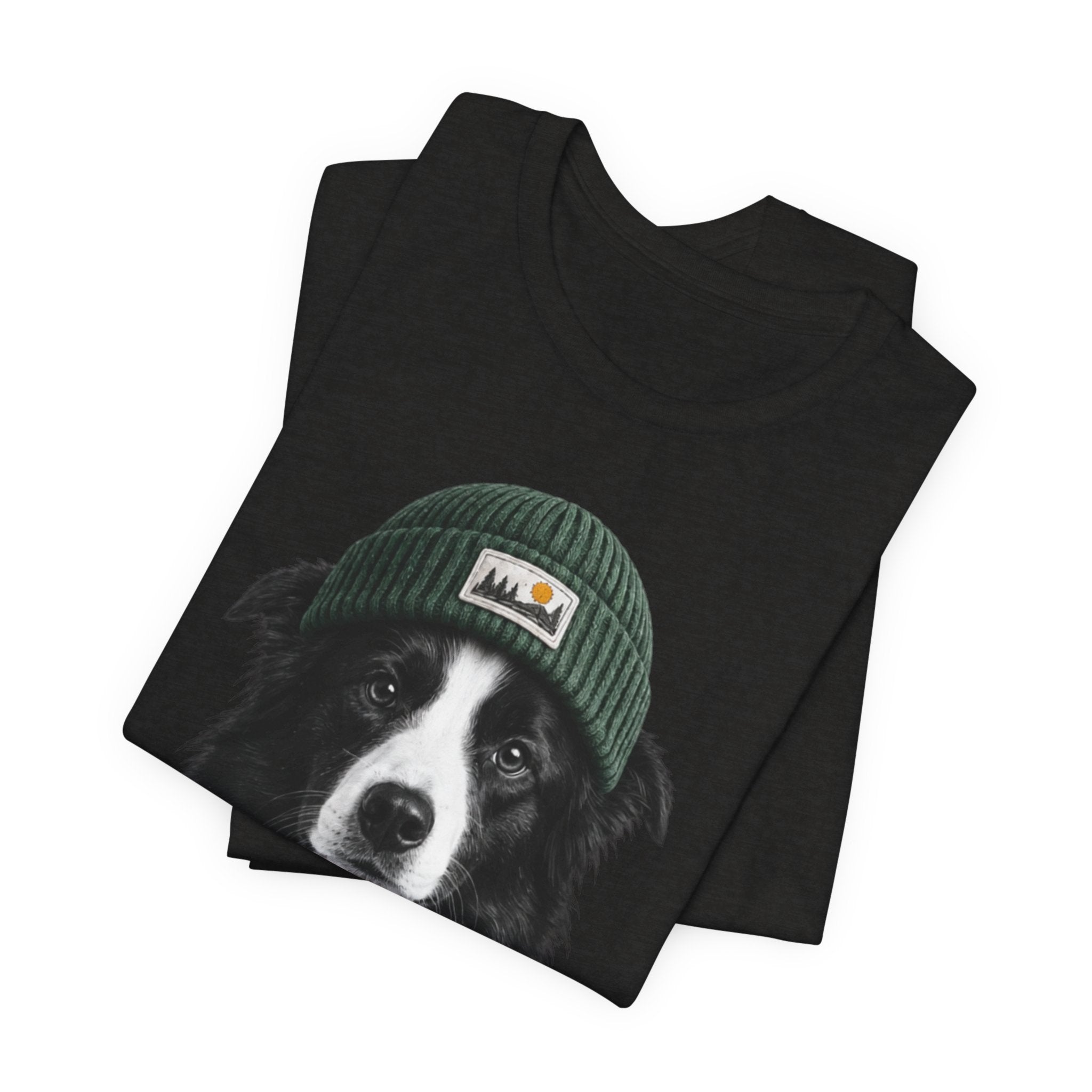 Border Collie in a Beanie