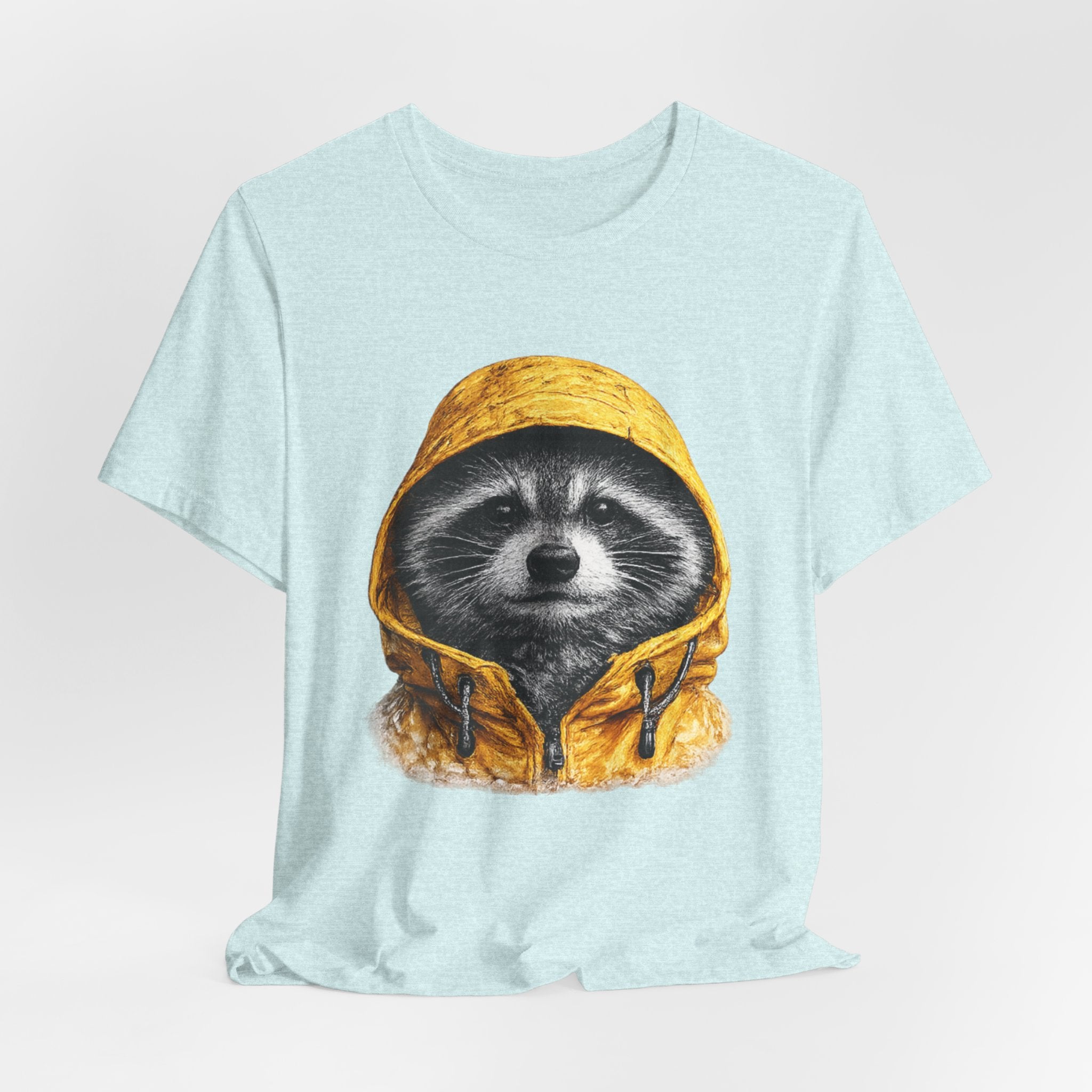 Raincoat Raccoon