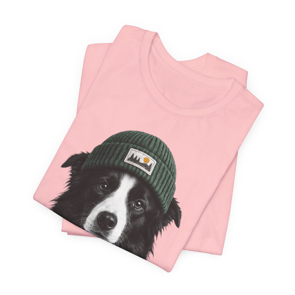 Border Collie in a Beanie